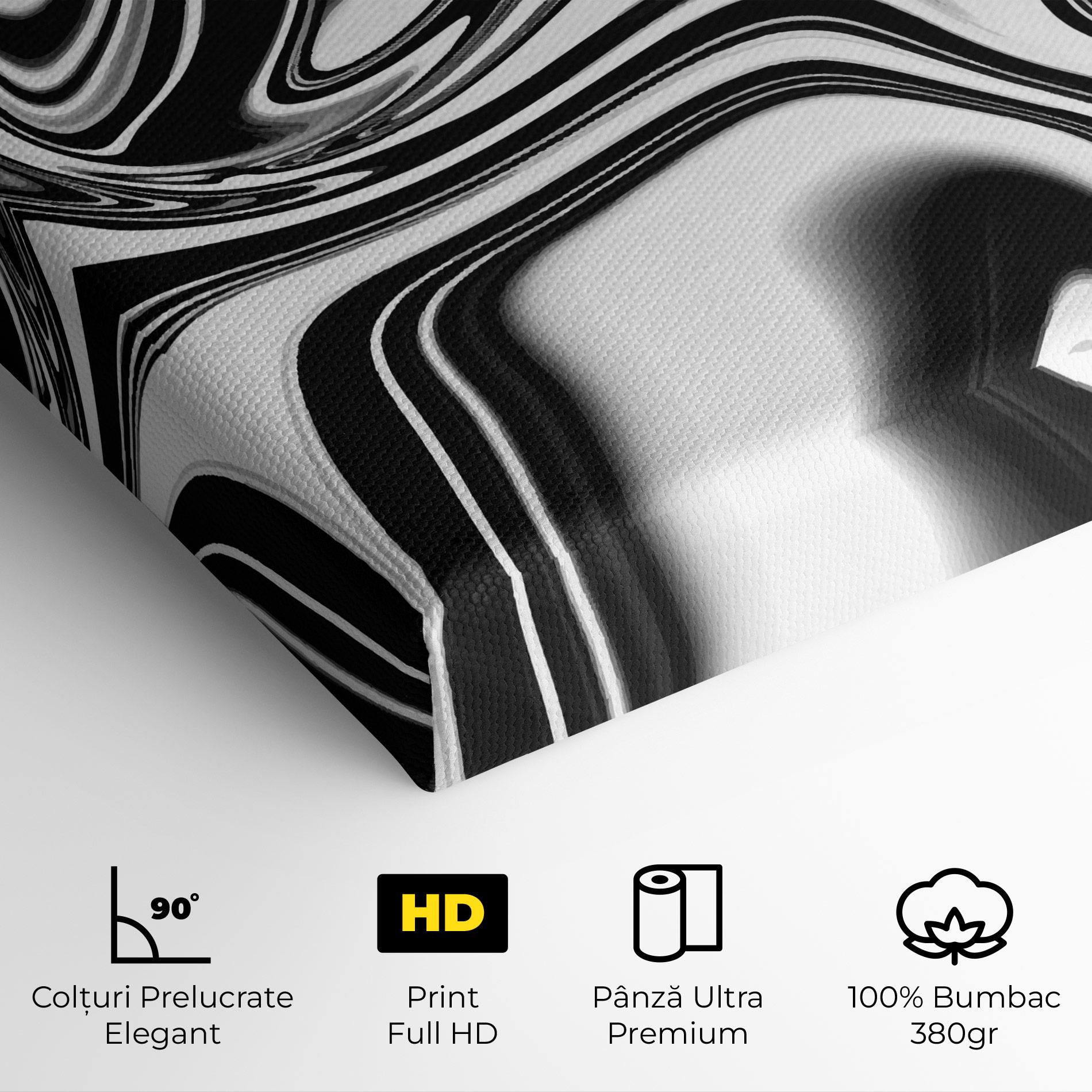 Tablou Canvas Black White Liquid mockup 4