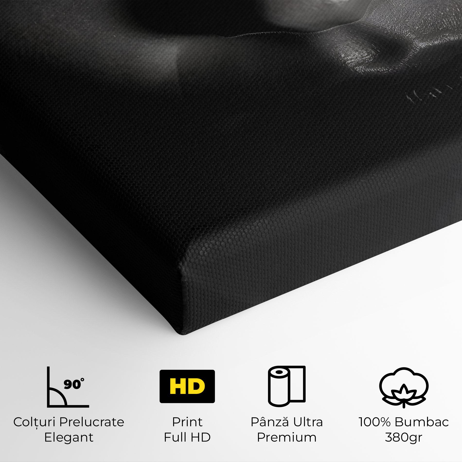 Tablou Canvas Closeup Portrait mockup 4