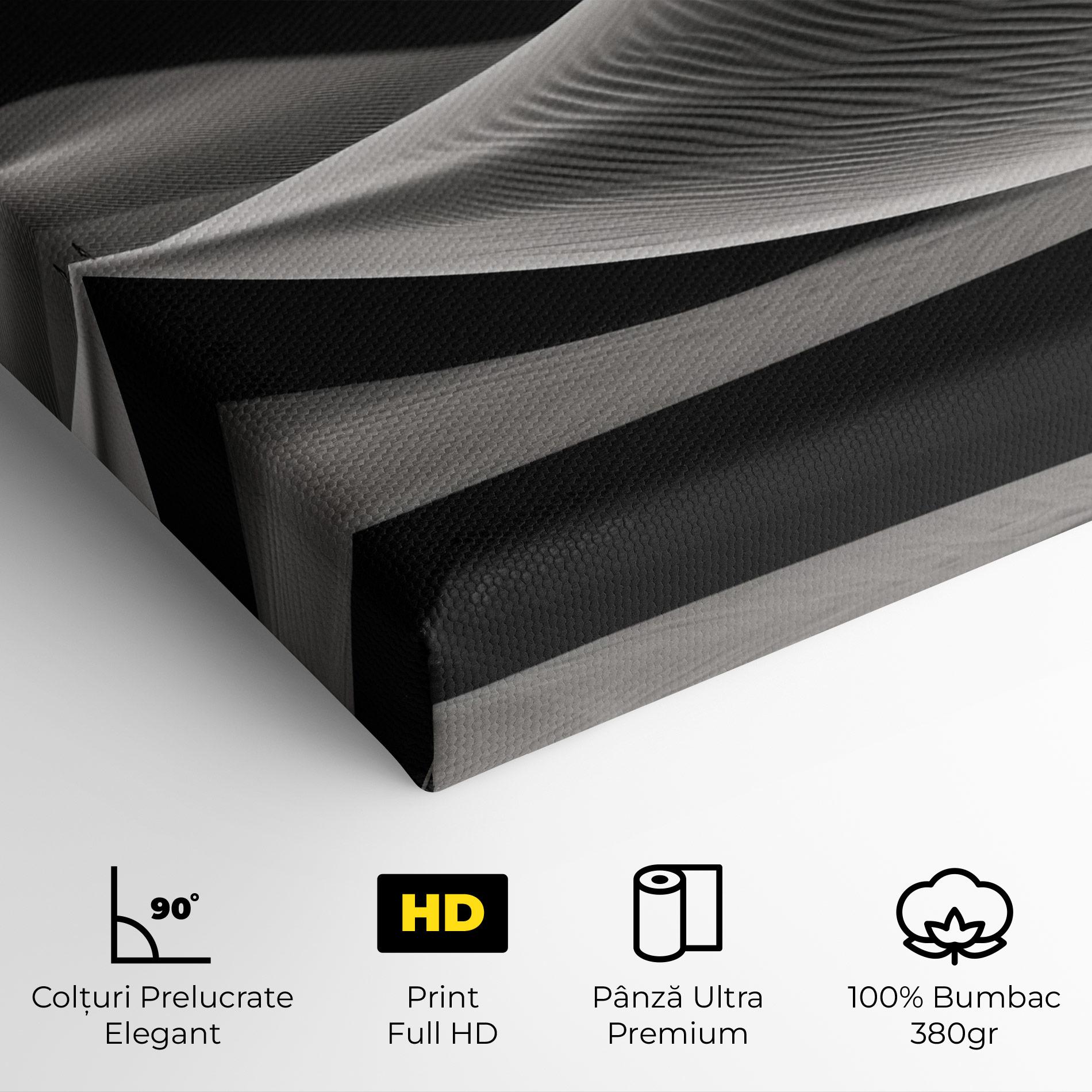 Tablou Canvas Dune Silhouette mockup 4