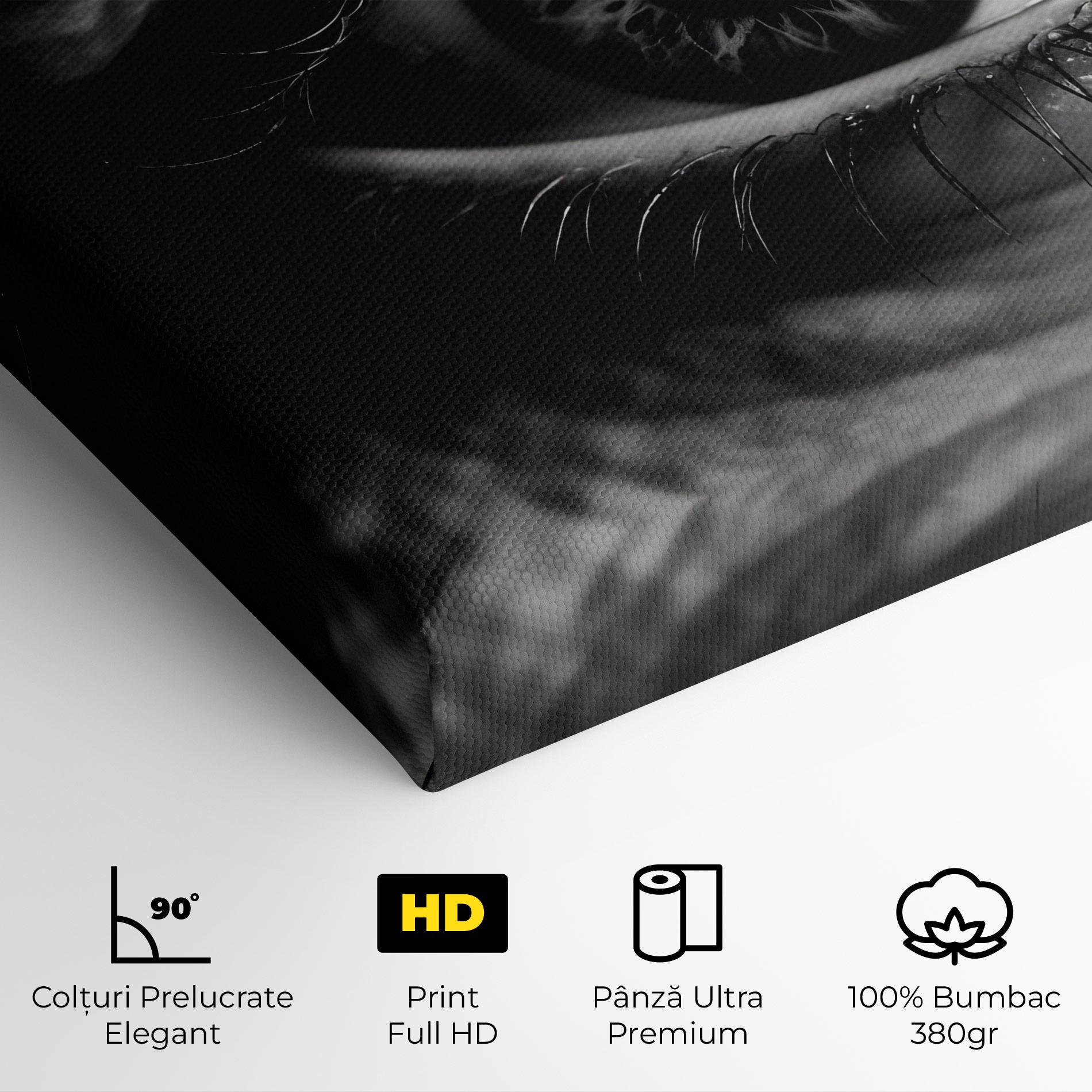 Tablou Canvas Eye Close Up mockup 4