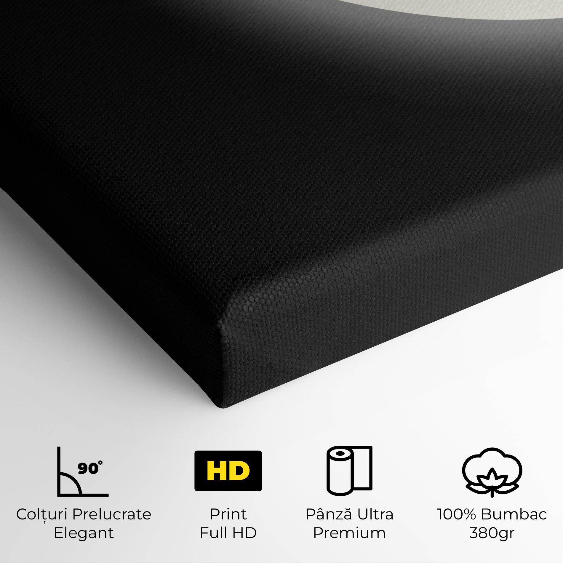 Tablou Canvas Full Moon Leaf mockup 4