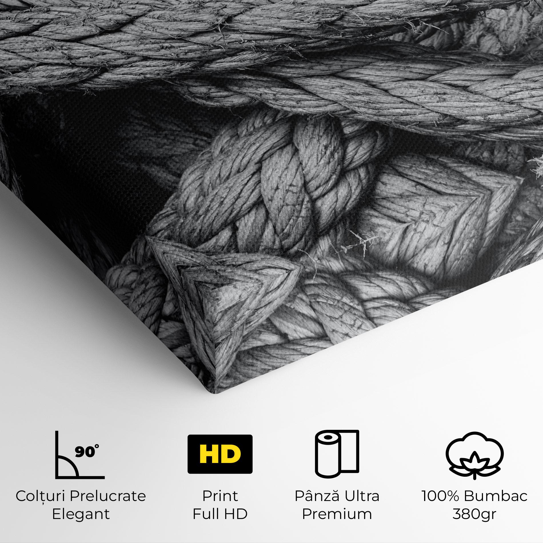 Tablou Canvas Gray String mockup 4