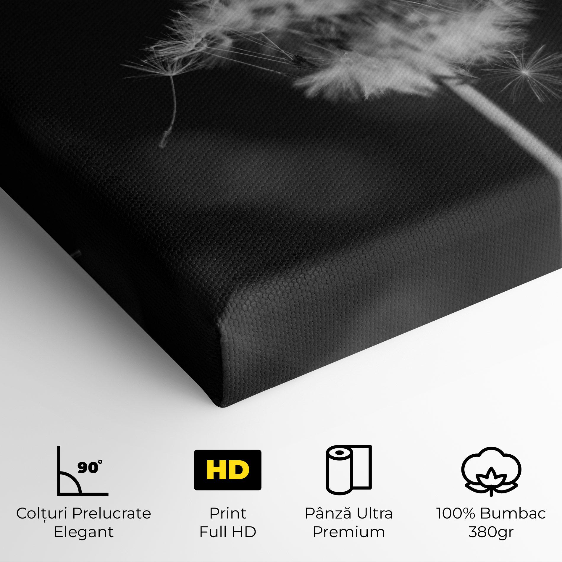 Tablou Canvas Grey Dandelion mockup 4