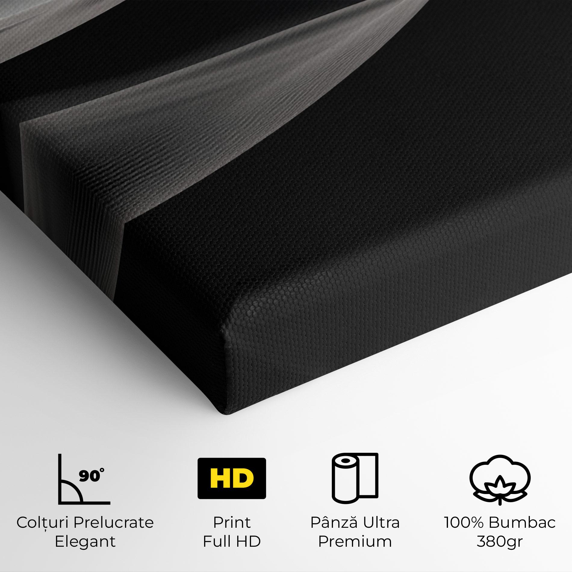 Tablou Canvas Grey Dune mockup 4