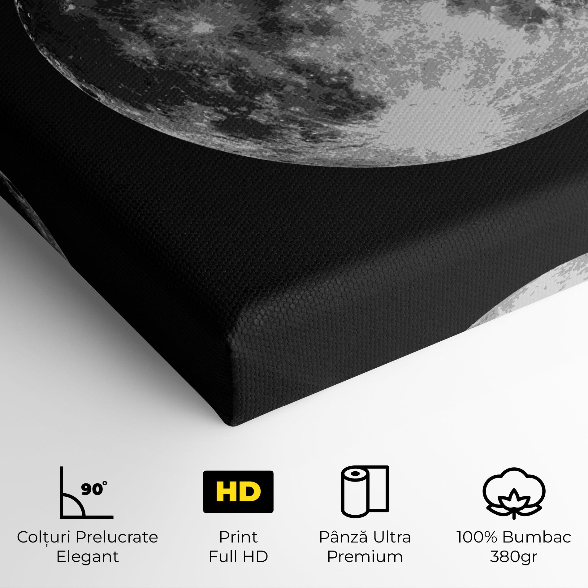 Tablou Canvas Grey Shiny Moon mockup 4