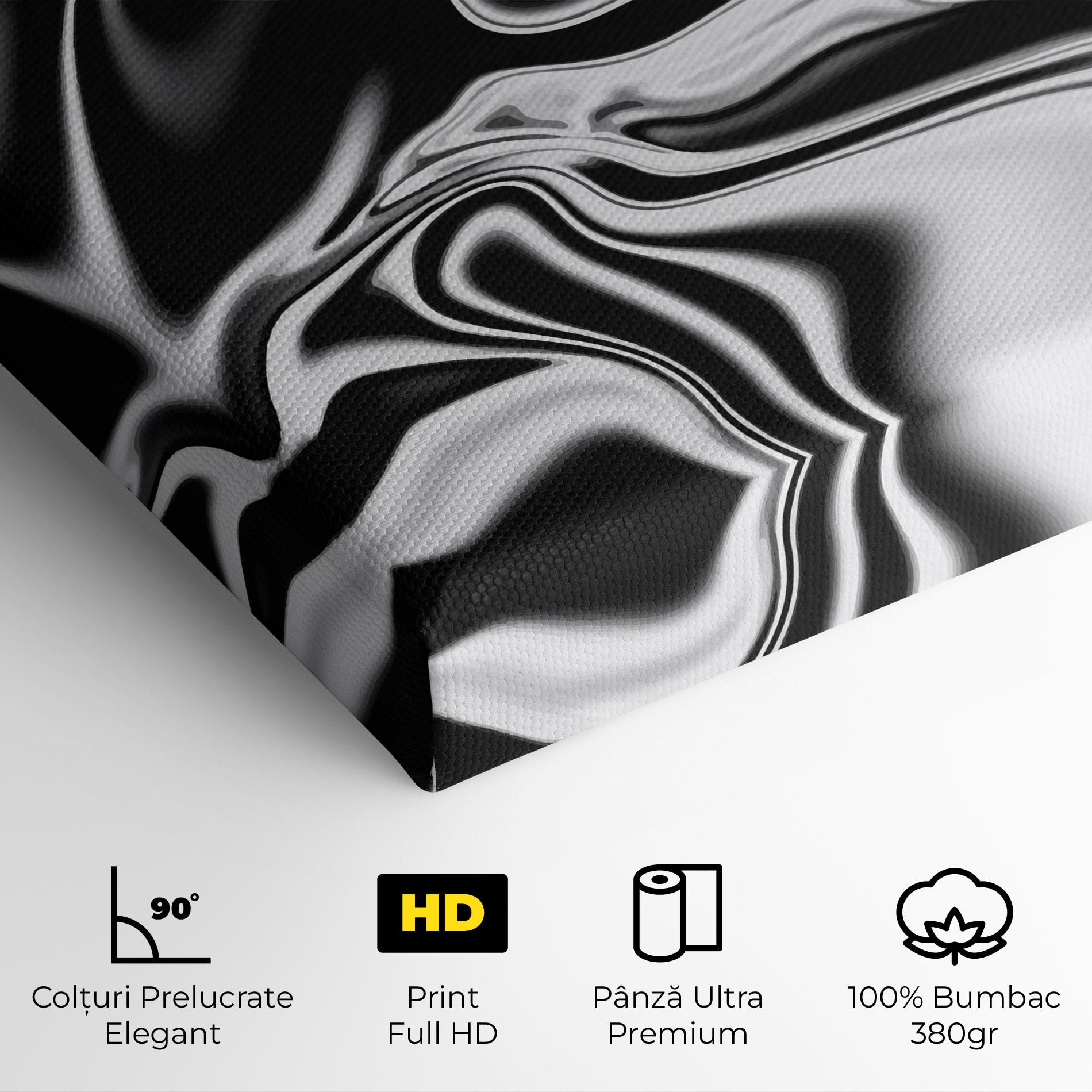 Tablou Canvas Silver Black Art mockup 4