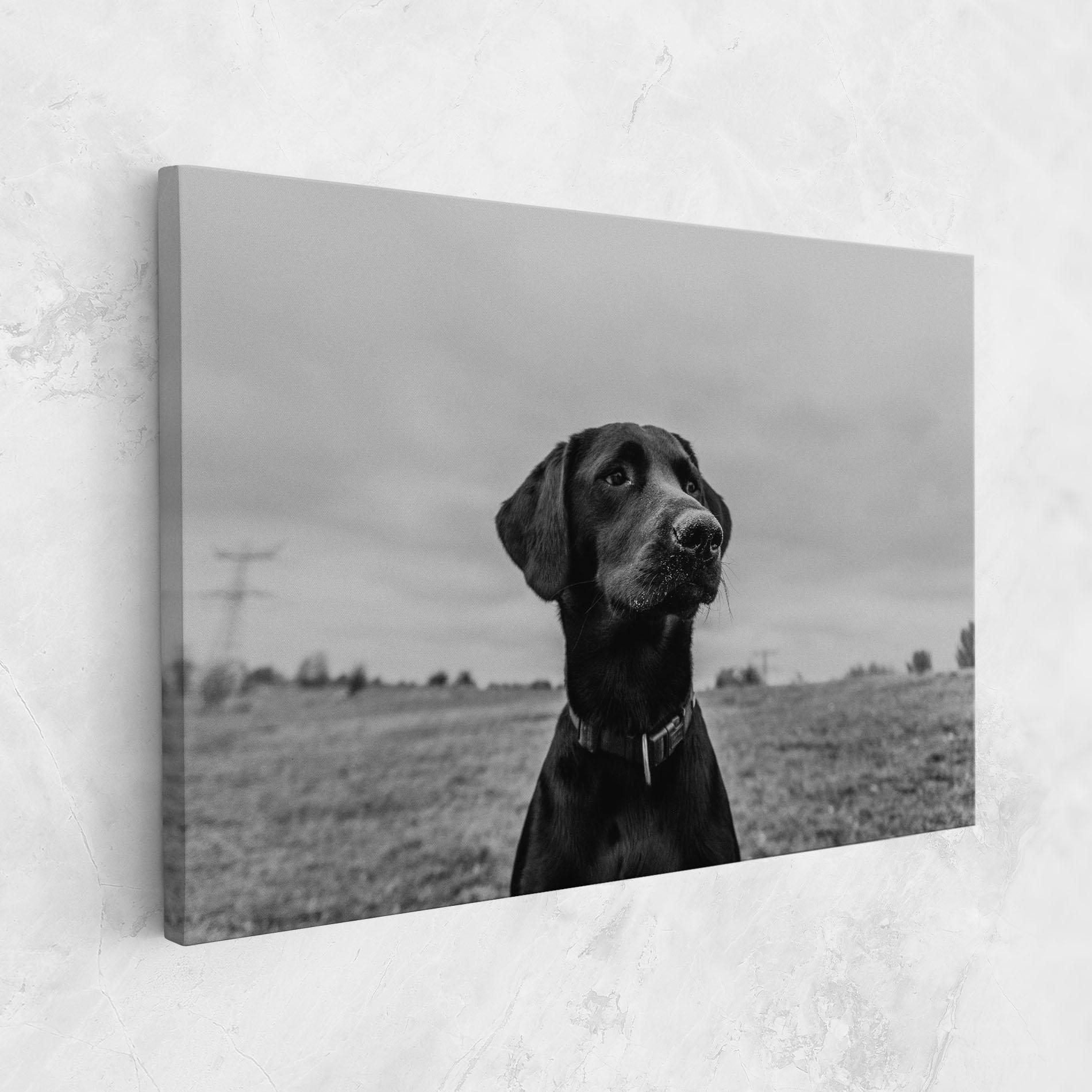 Tablou Canvas Black Dog mockup 1