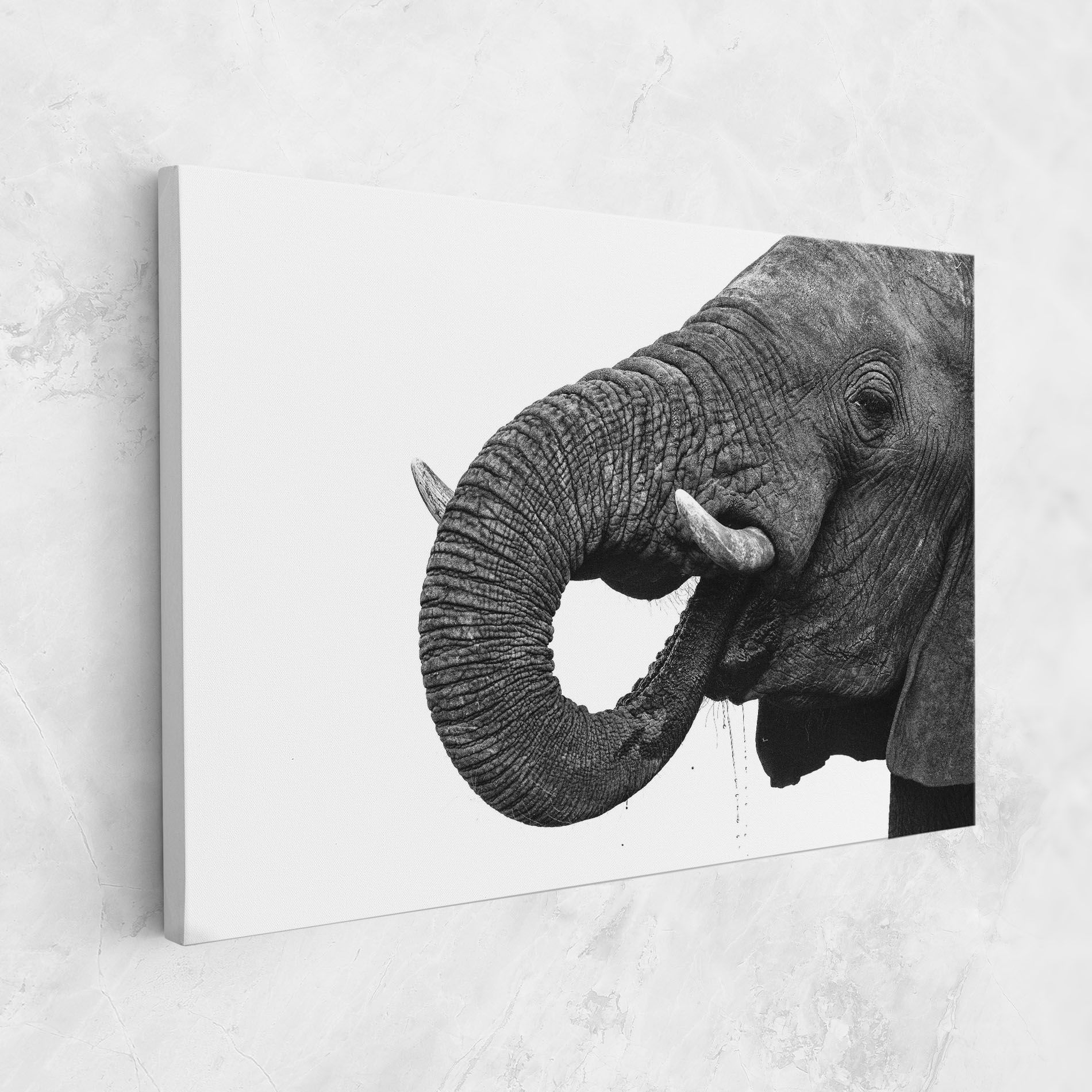 Elephant Drinking mockup 1