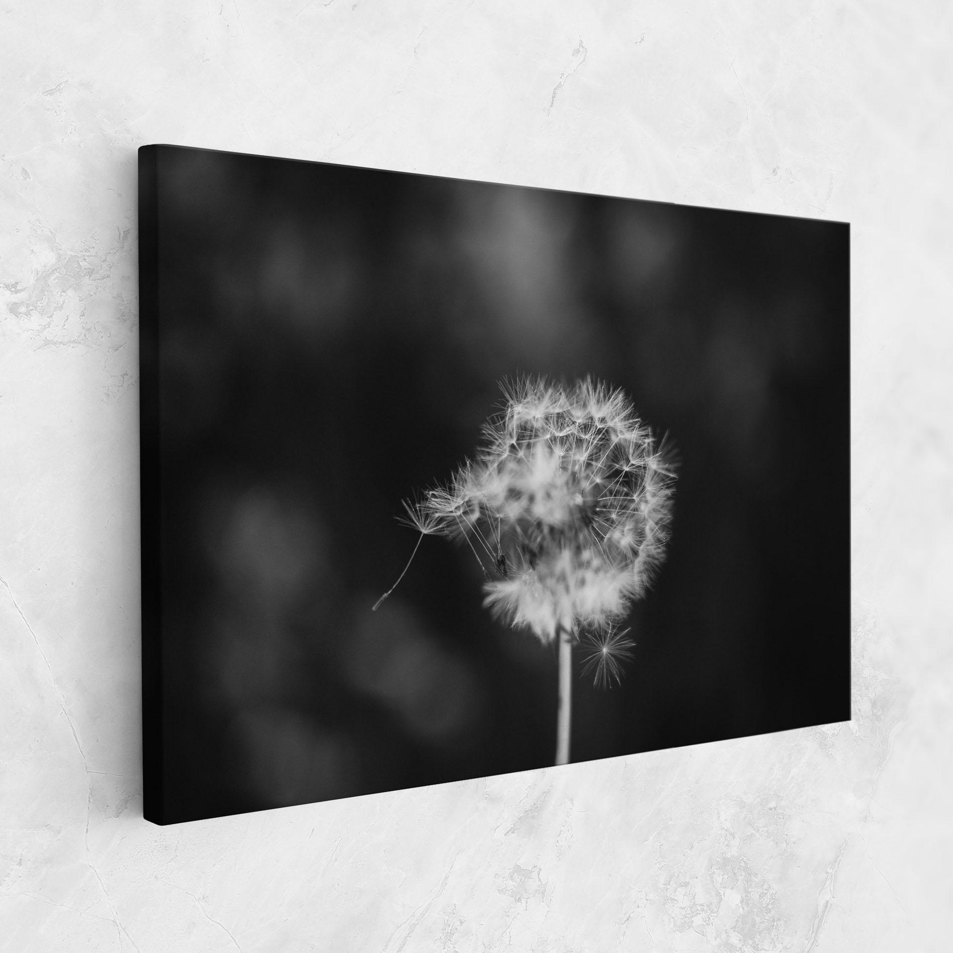 Tablou Canvas Grey Dandelion mockup 1
