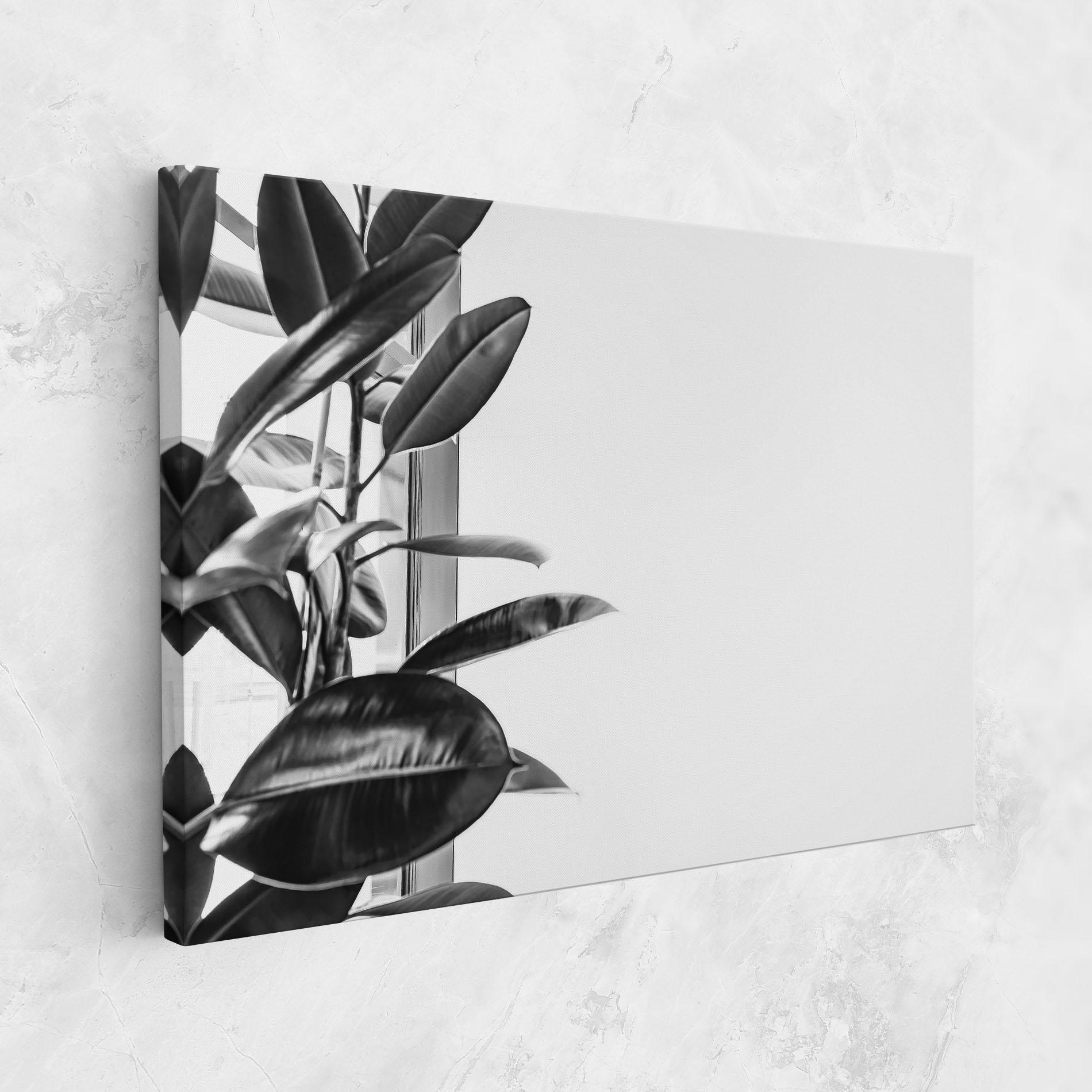 Tablou Canvas Grey Plant mockup 1