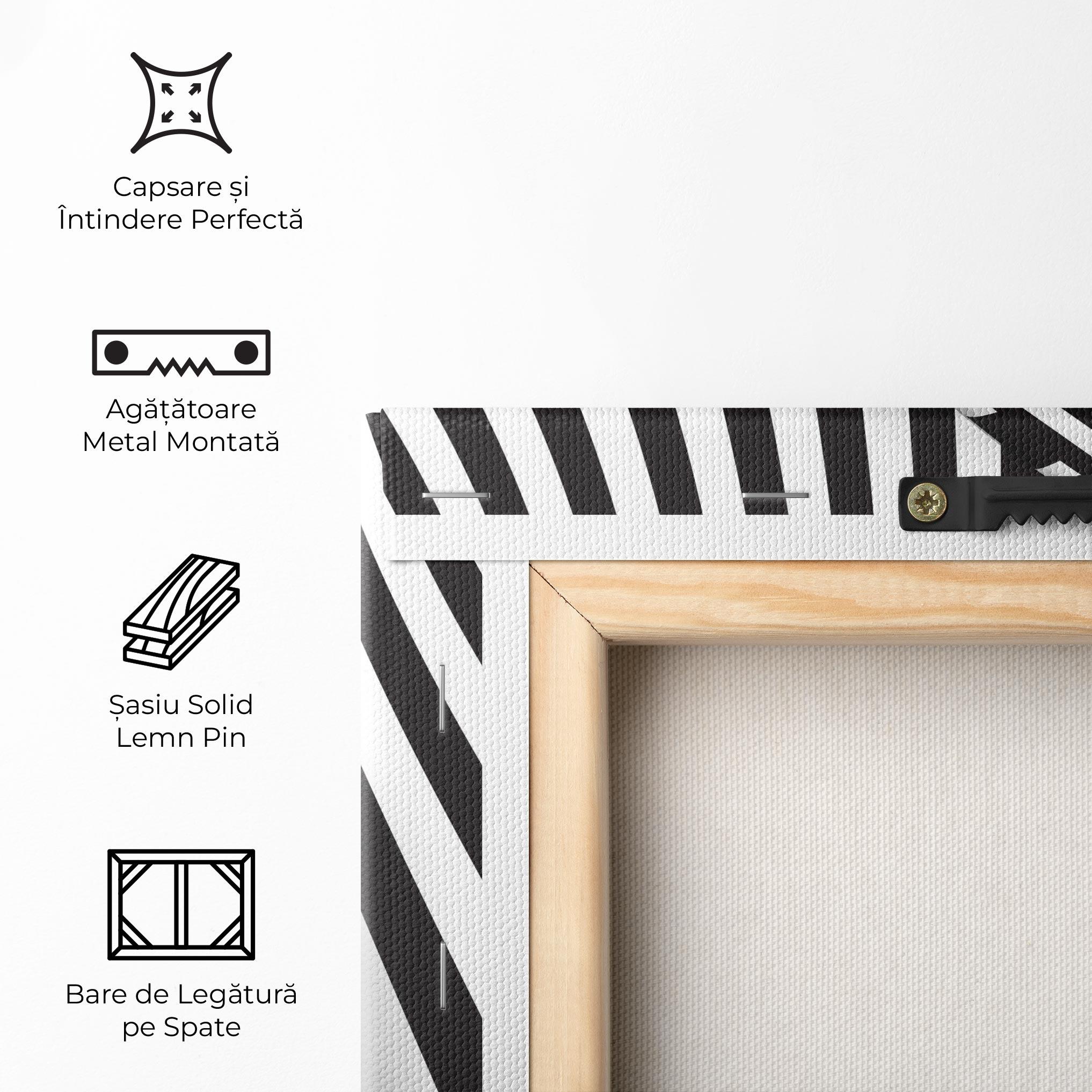 Tablou Canvas 3d Ball Zebra mockup 5