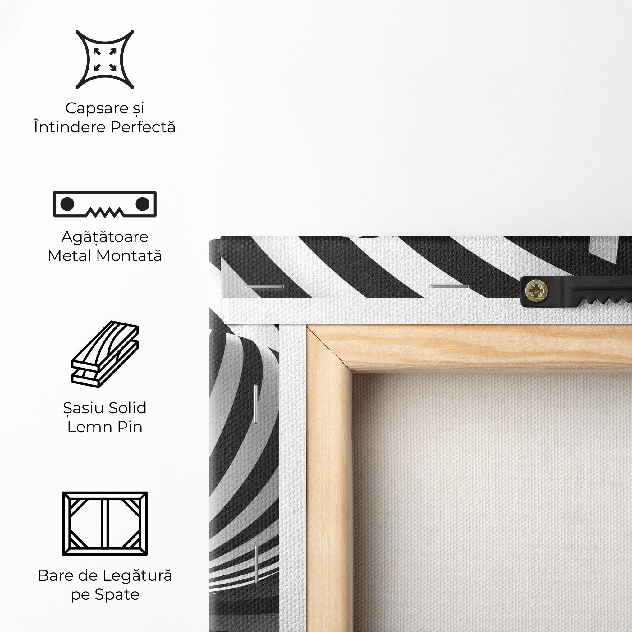 Tablou Canvas 3d Zebra Ball mockup 5