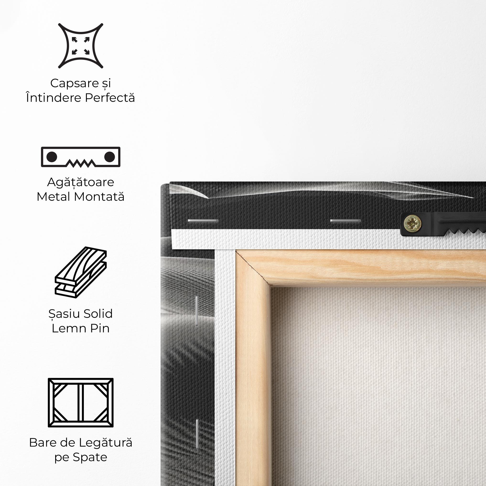 Tablou Canvas Dune Silhouette mockup 5