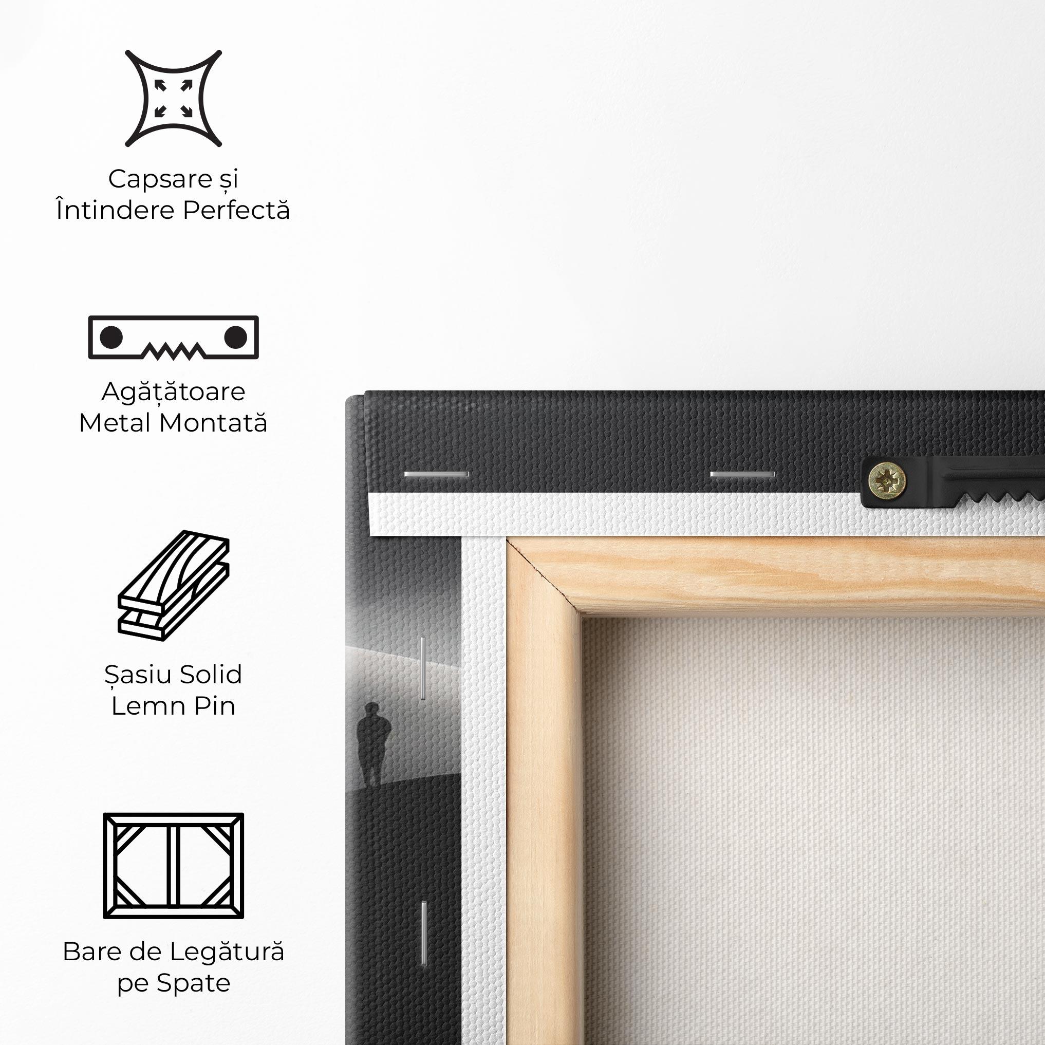 Tablou Canvas Grey Dune mockup 5