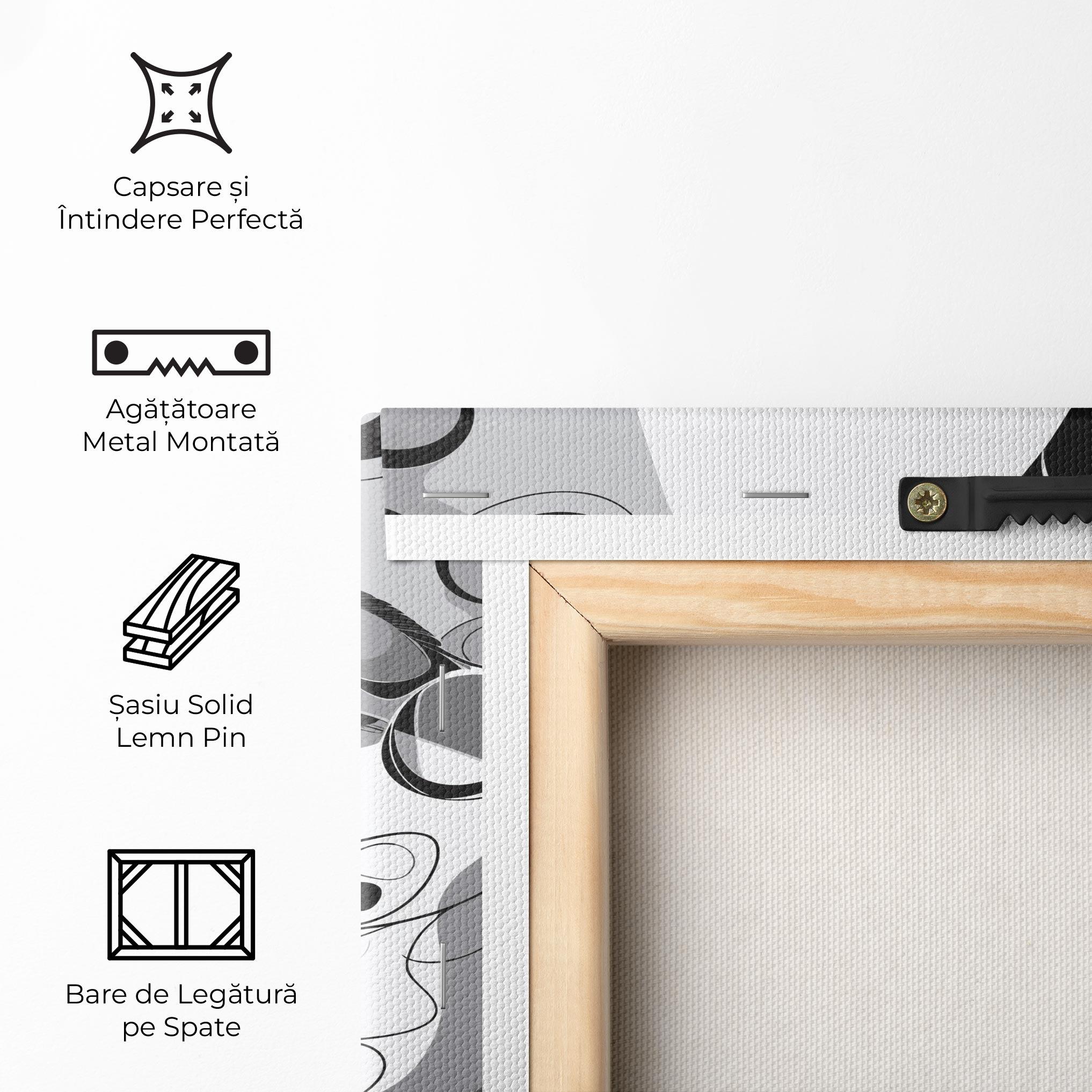 Tablou Canvas Grey Face Woman mockup 5