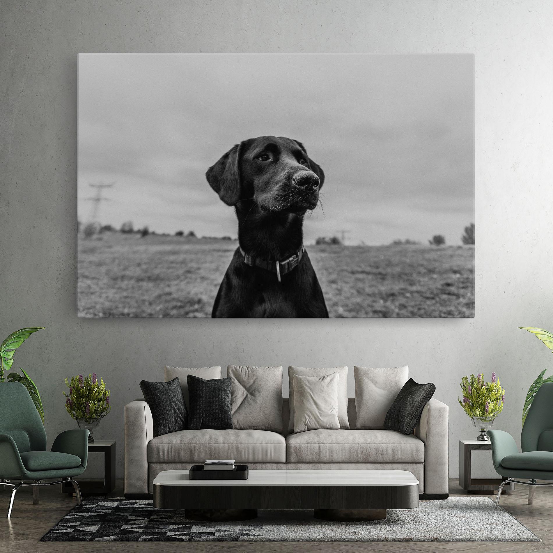 Tablou Canvas Black Dog mockup 7