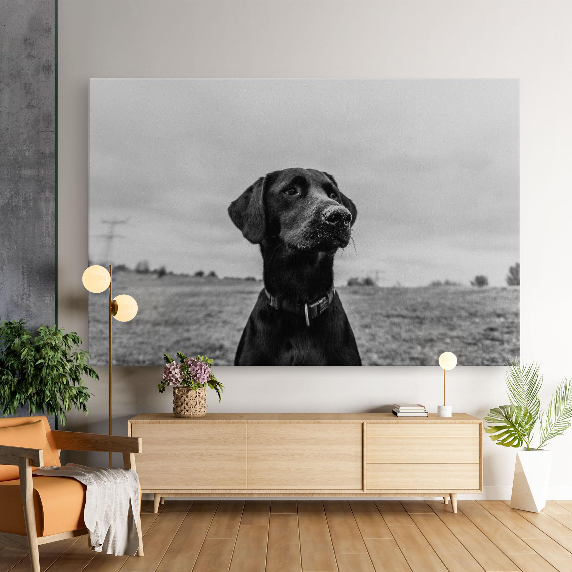 Tablou Canvas Black Dog mockup 9