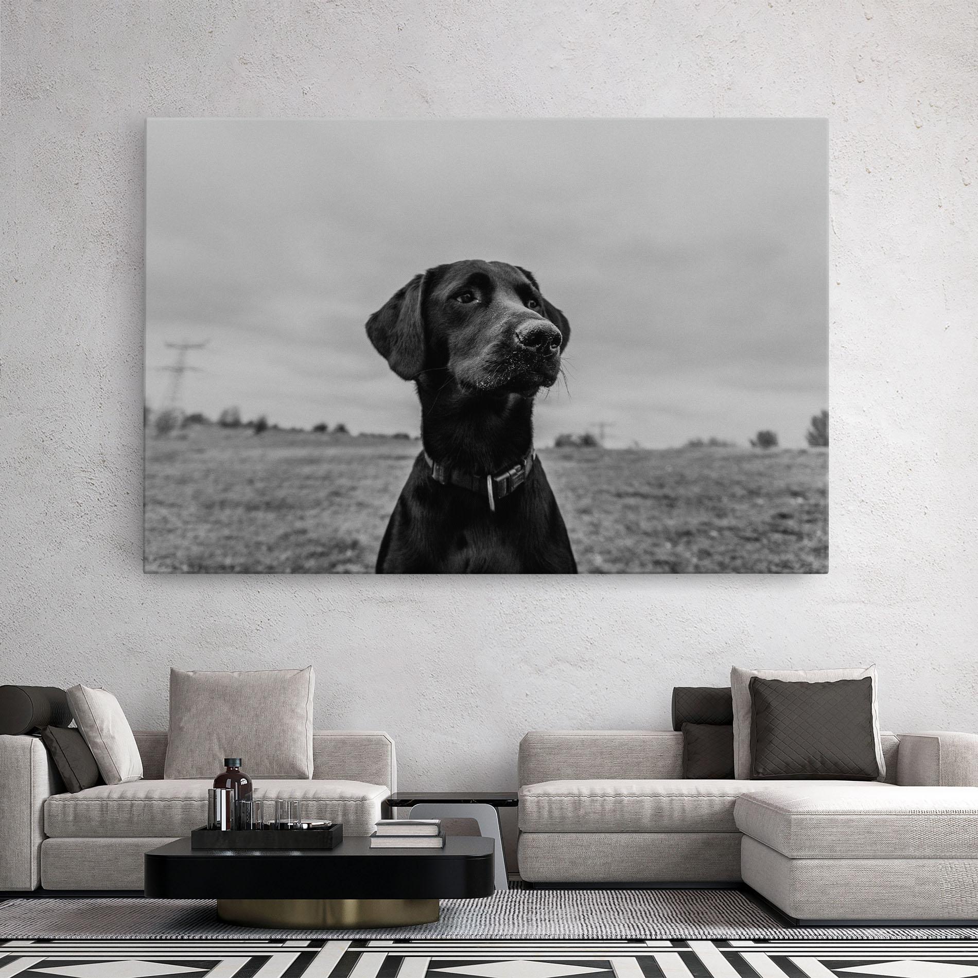 Tablou Canvas Black Dog mockup 2