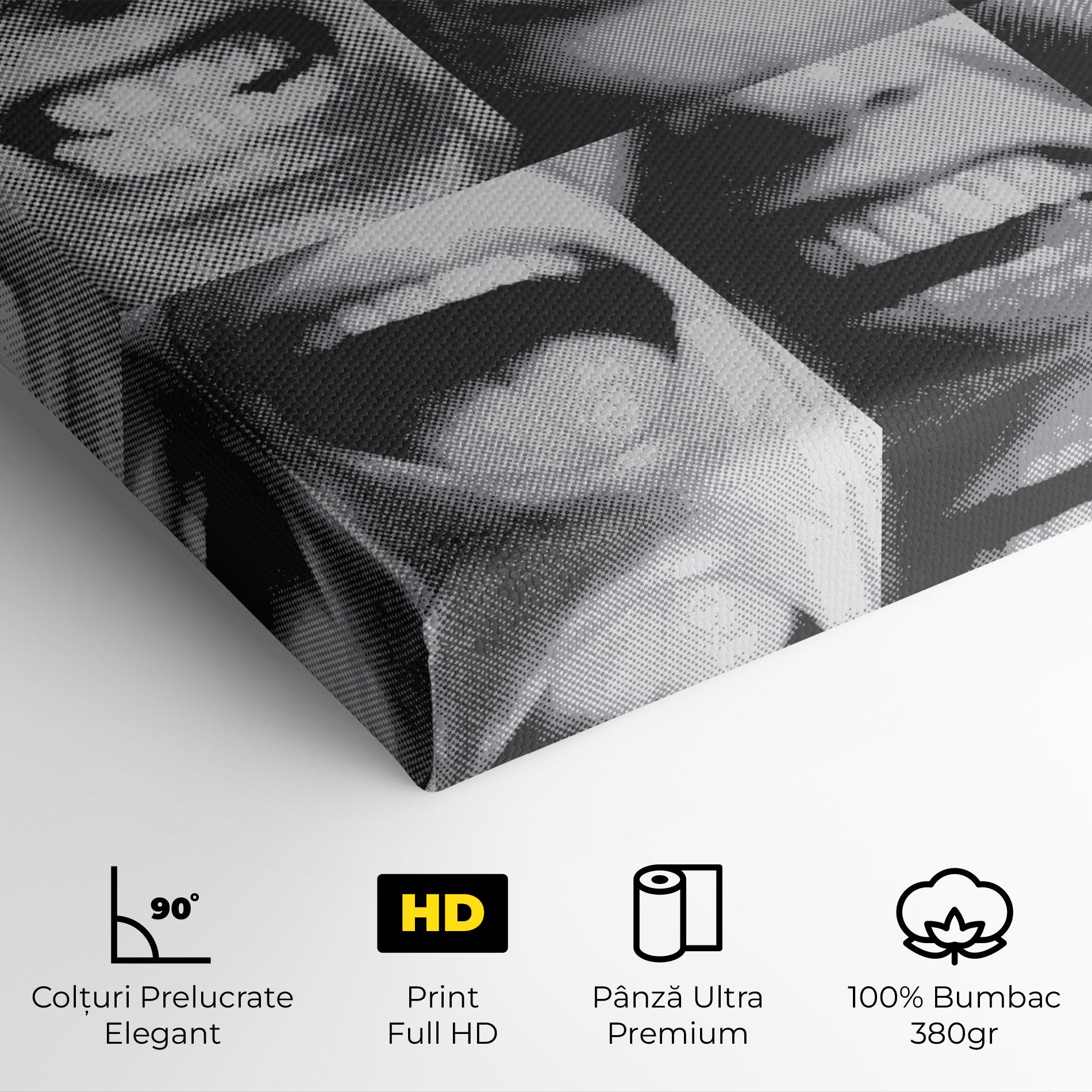 Tablou Canvas Grey Mouth Collage mockup 4