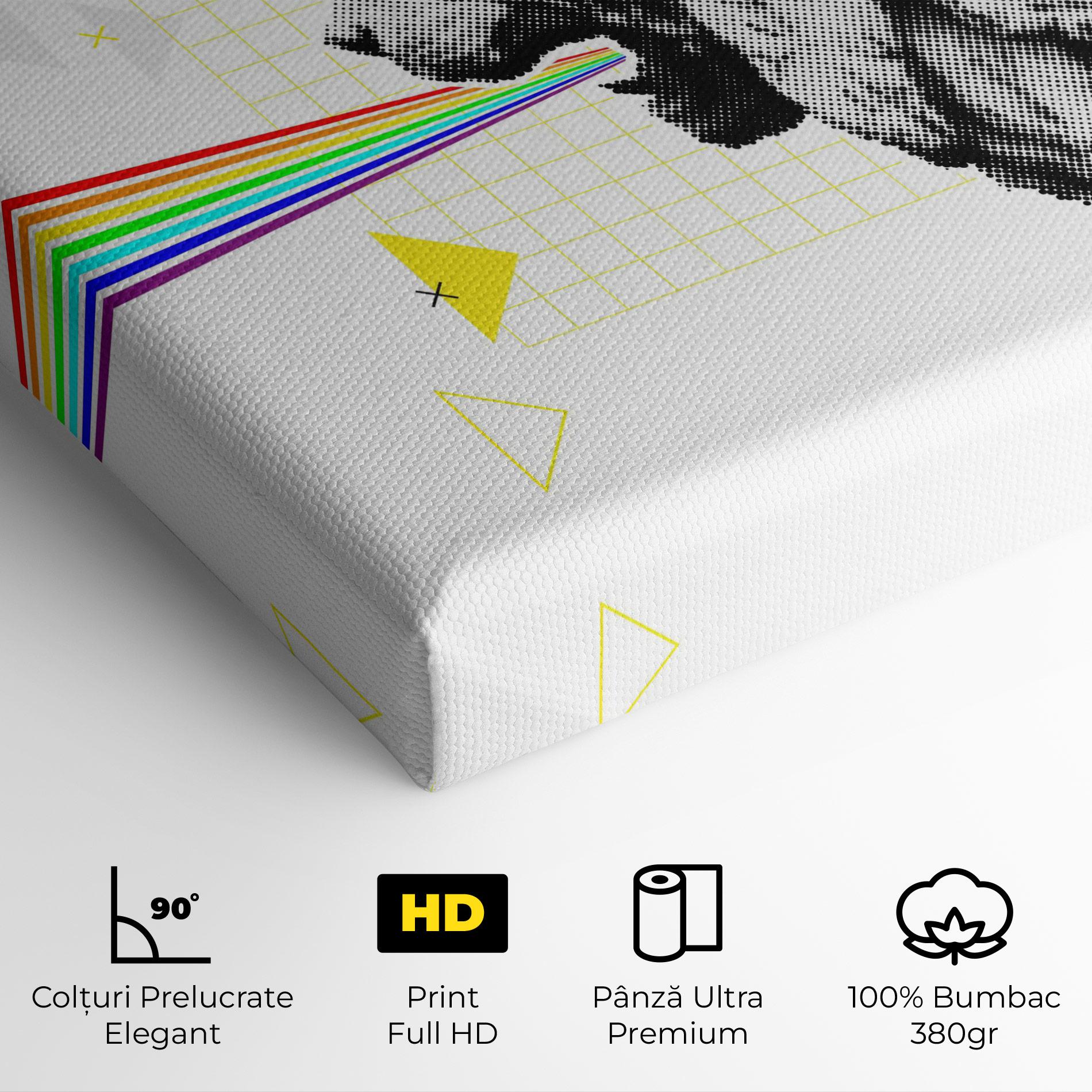 Tablou Canvas Lion Collage mockup 4