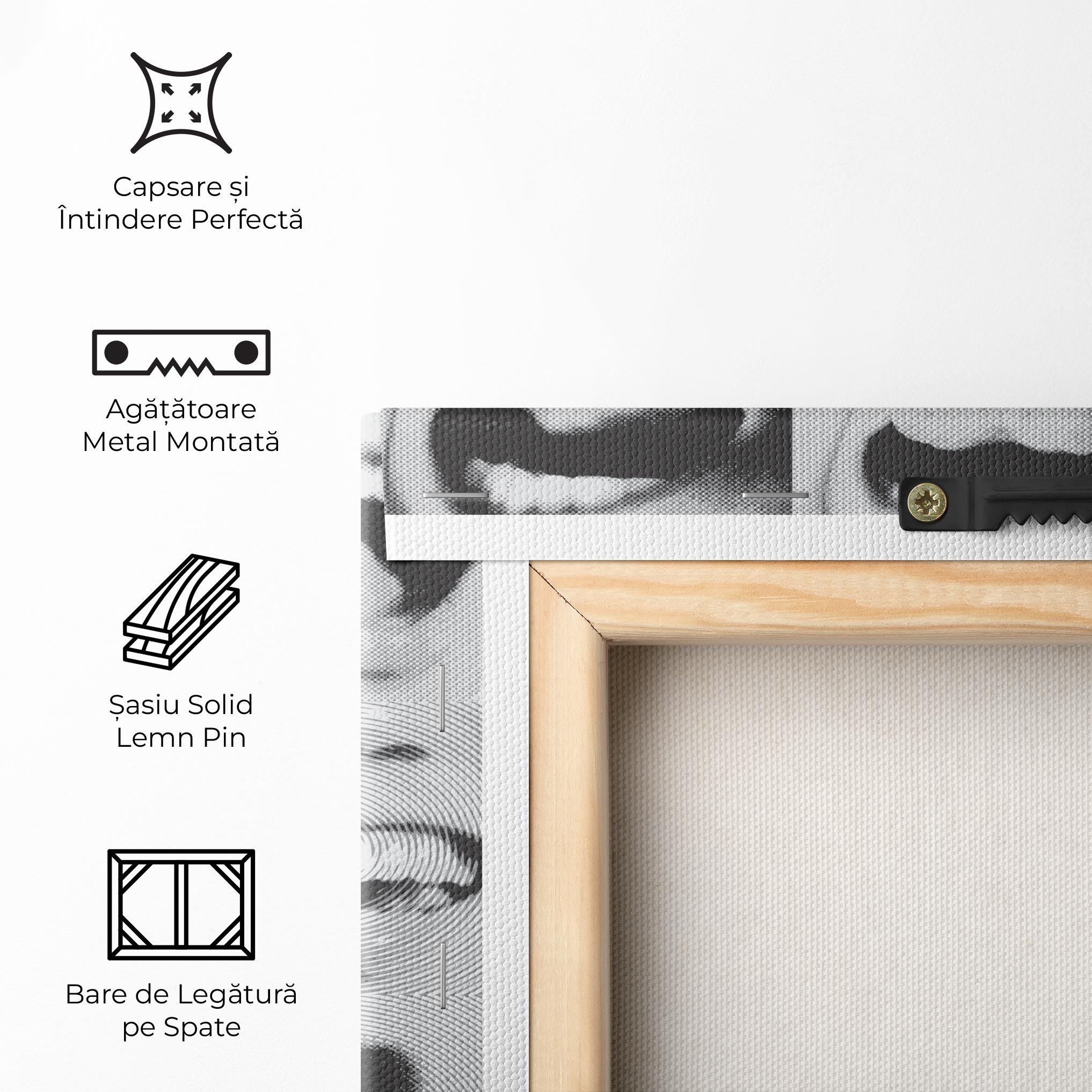 Tablou Canvas Grey Mouth Collage mockup 5