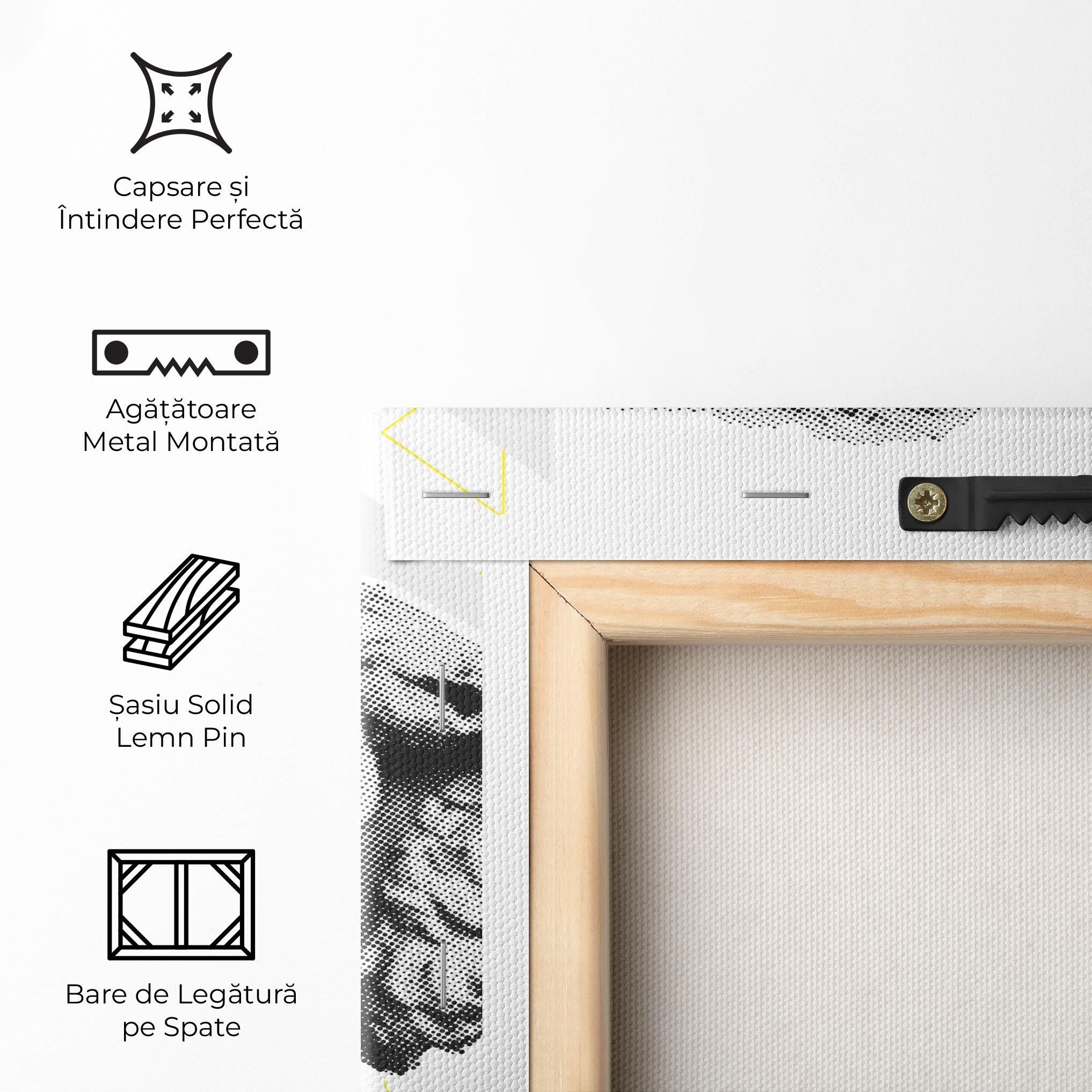 Tablou Canvas Lion Collage mockup 5