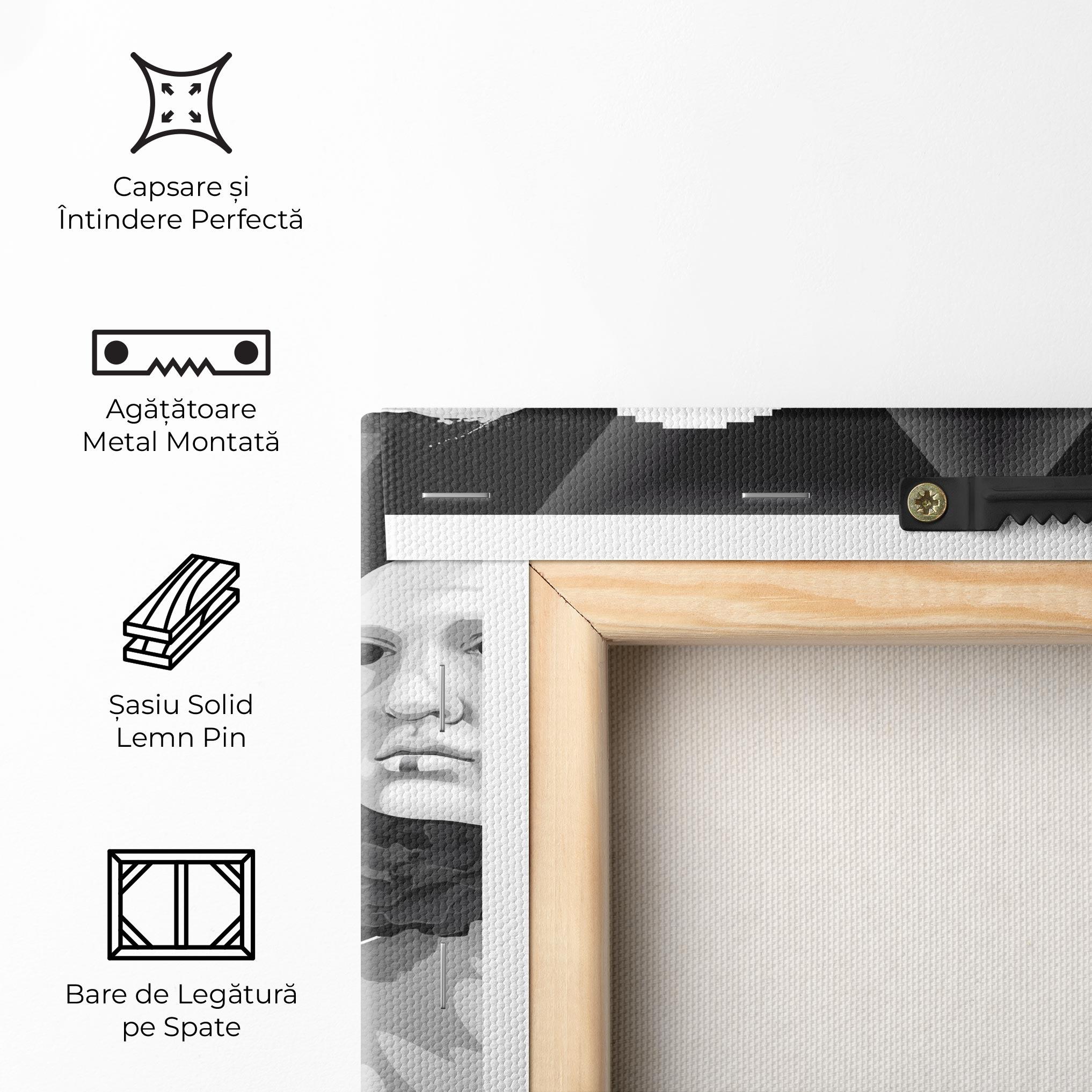 Tablou Canvas Statue Mask mockup 5