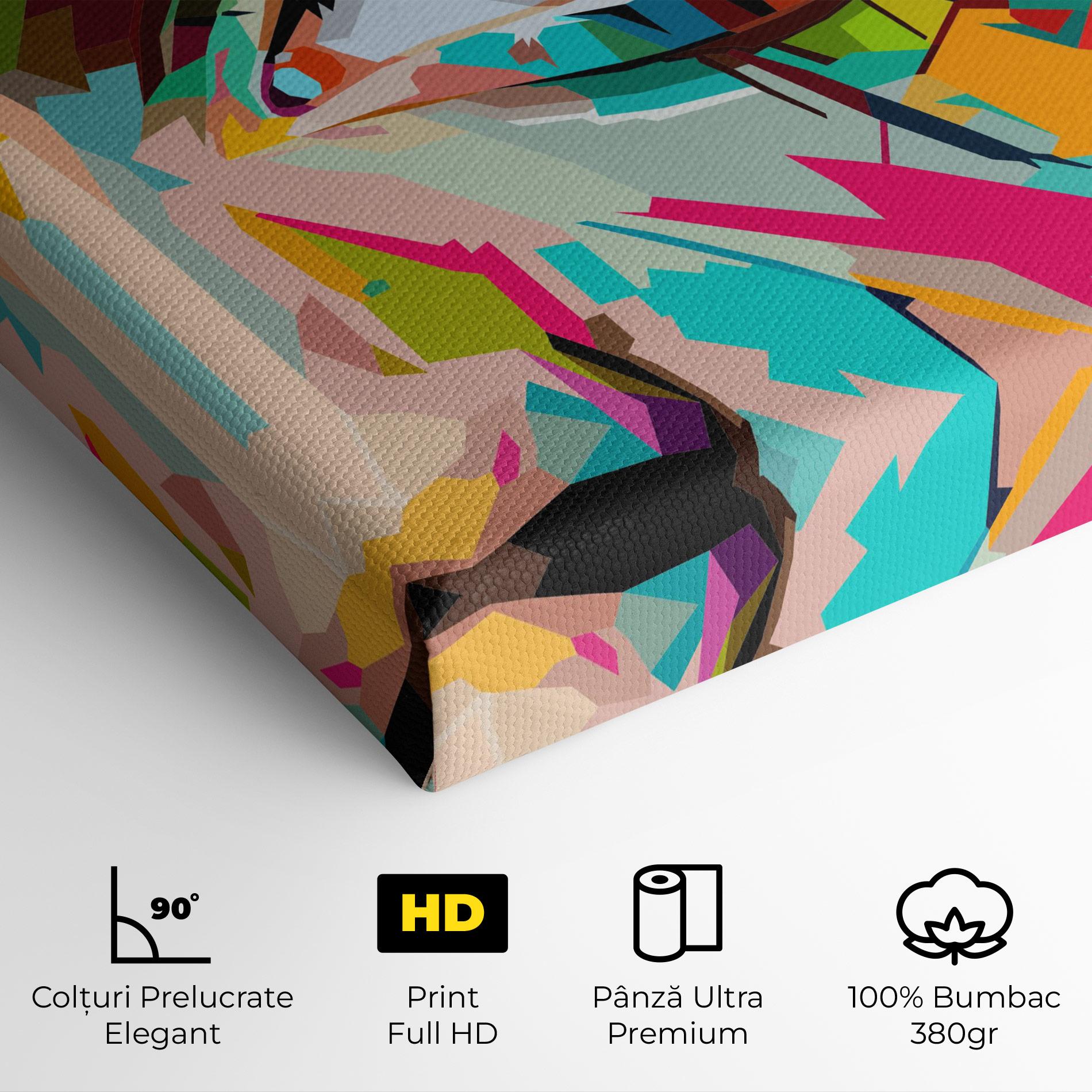 Tablou Canvas Colorful Eye mockup 4