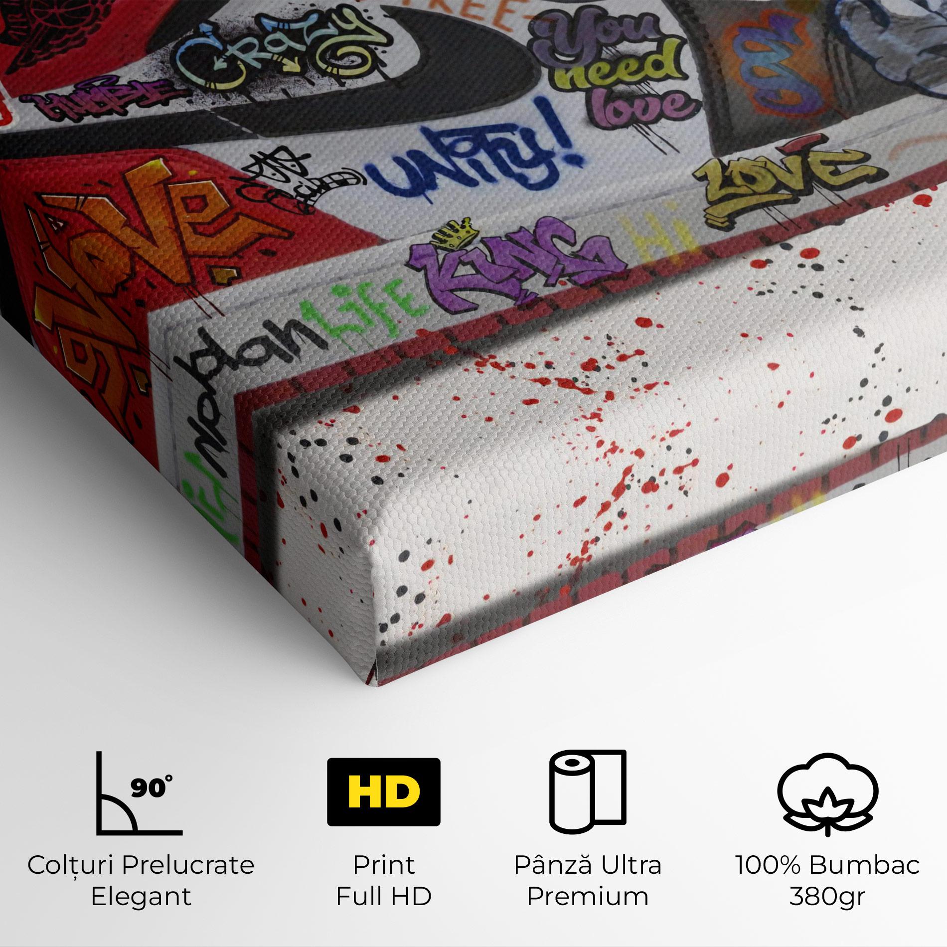 Tablou Canvas Jordan Drip mockup 4