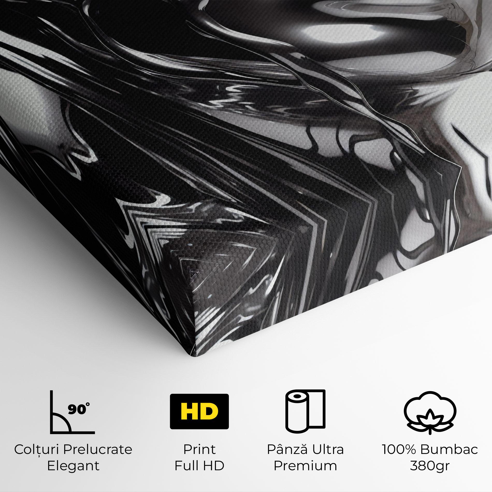 Tablou Canvas Silver Liquid Woman mockup 4