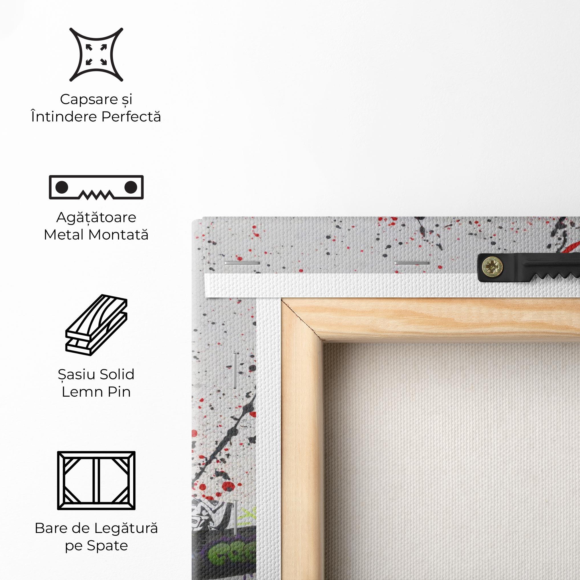 Tablou Canvas Jordan Drip mockup 5