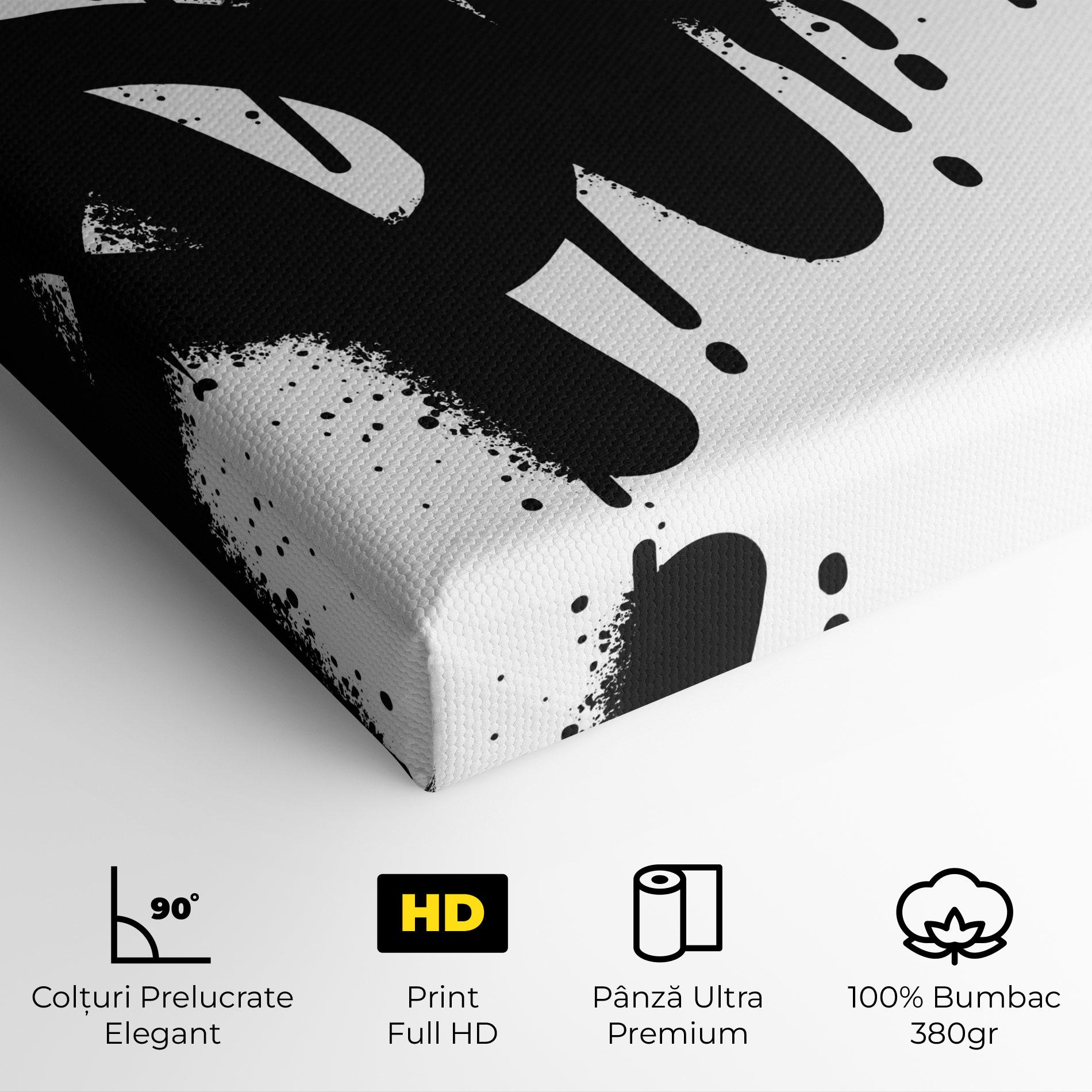 Tablou Canvas Graffiti Savage mockup 4