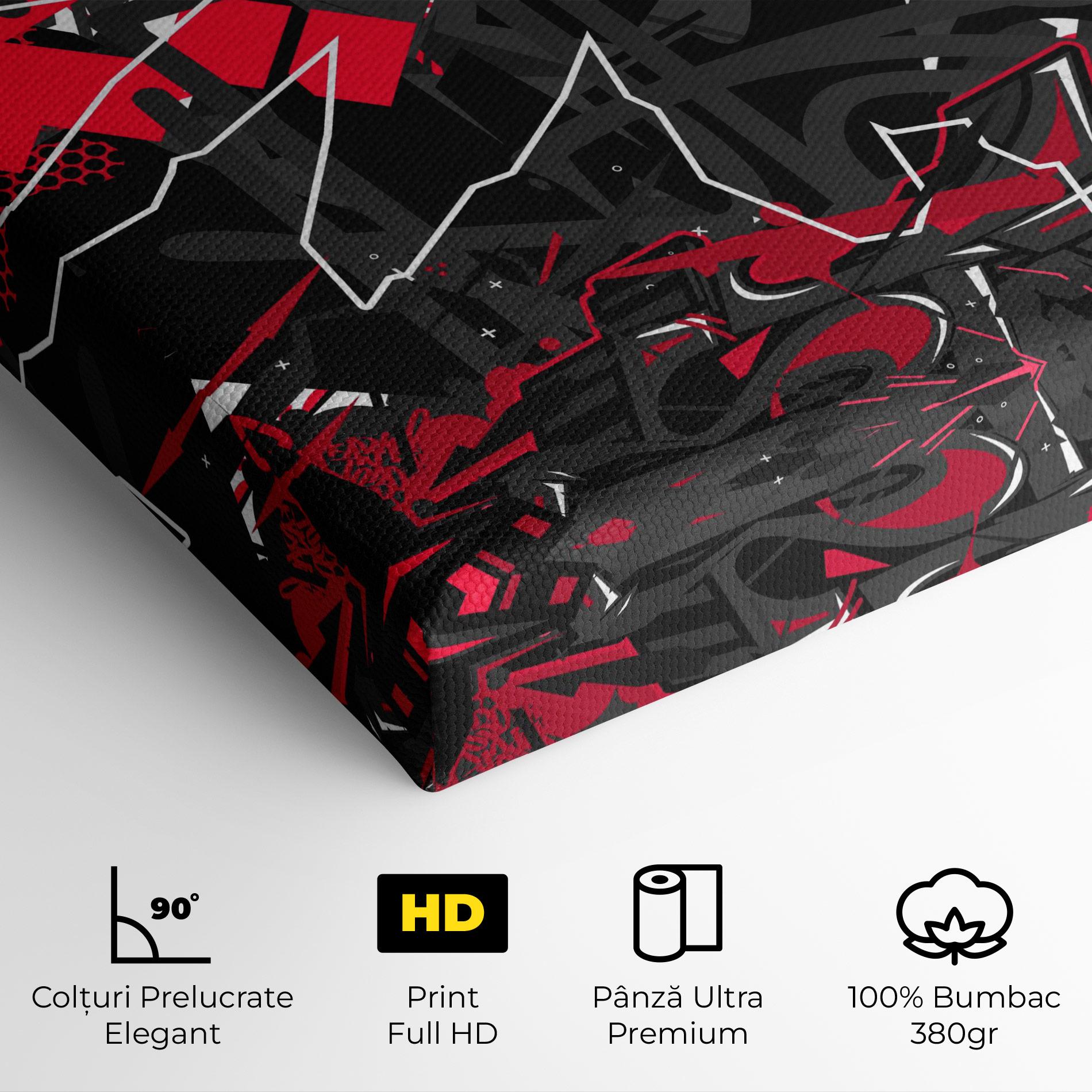 Tablou Canvas Grey Red Graffiti mockup 4