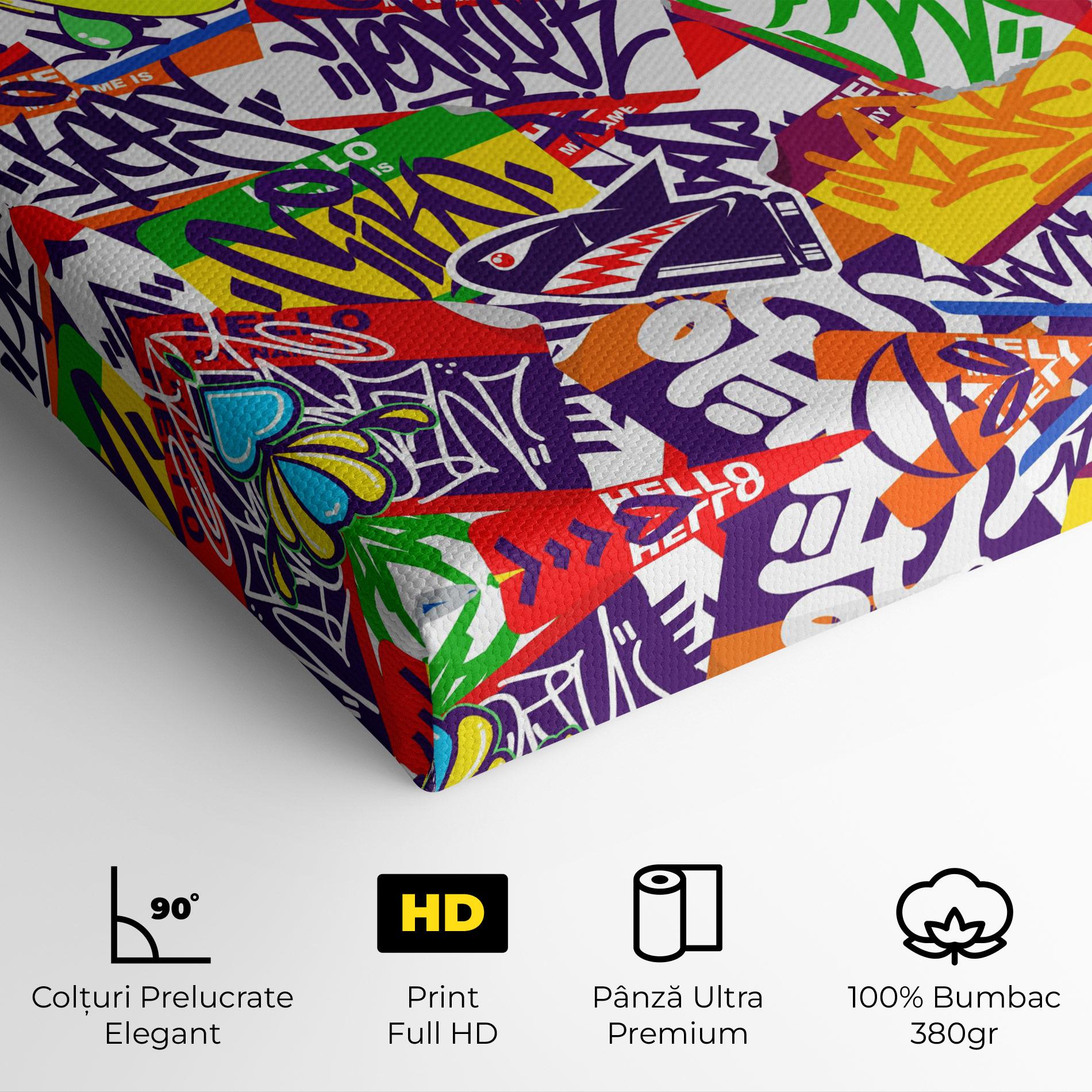 Tablou Canvas Hello Graffiti Name mockup 4