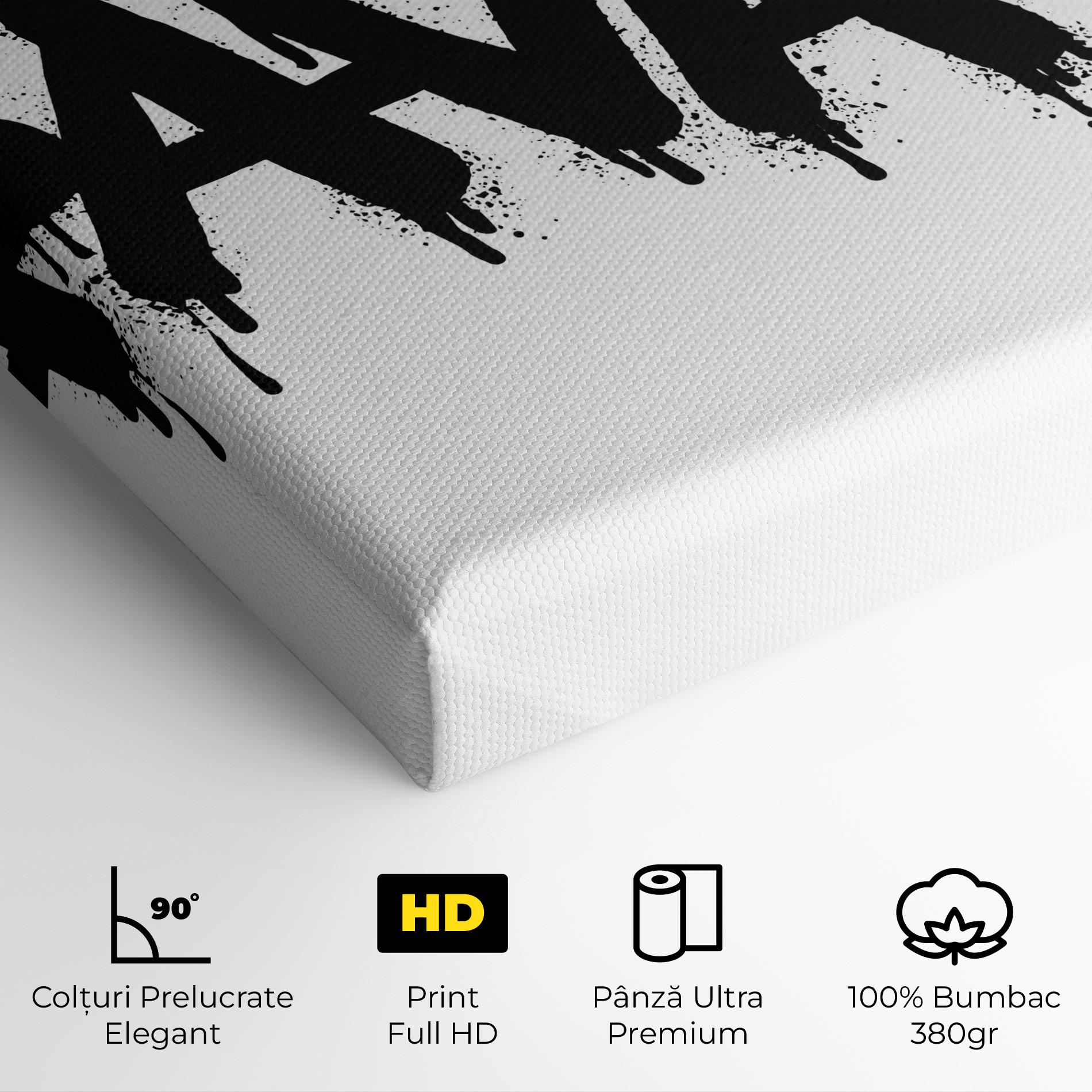 Tablou Canvas Savage Graffiti Spray mockup 4