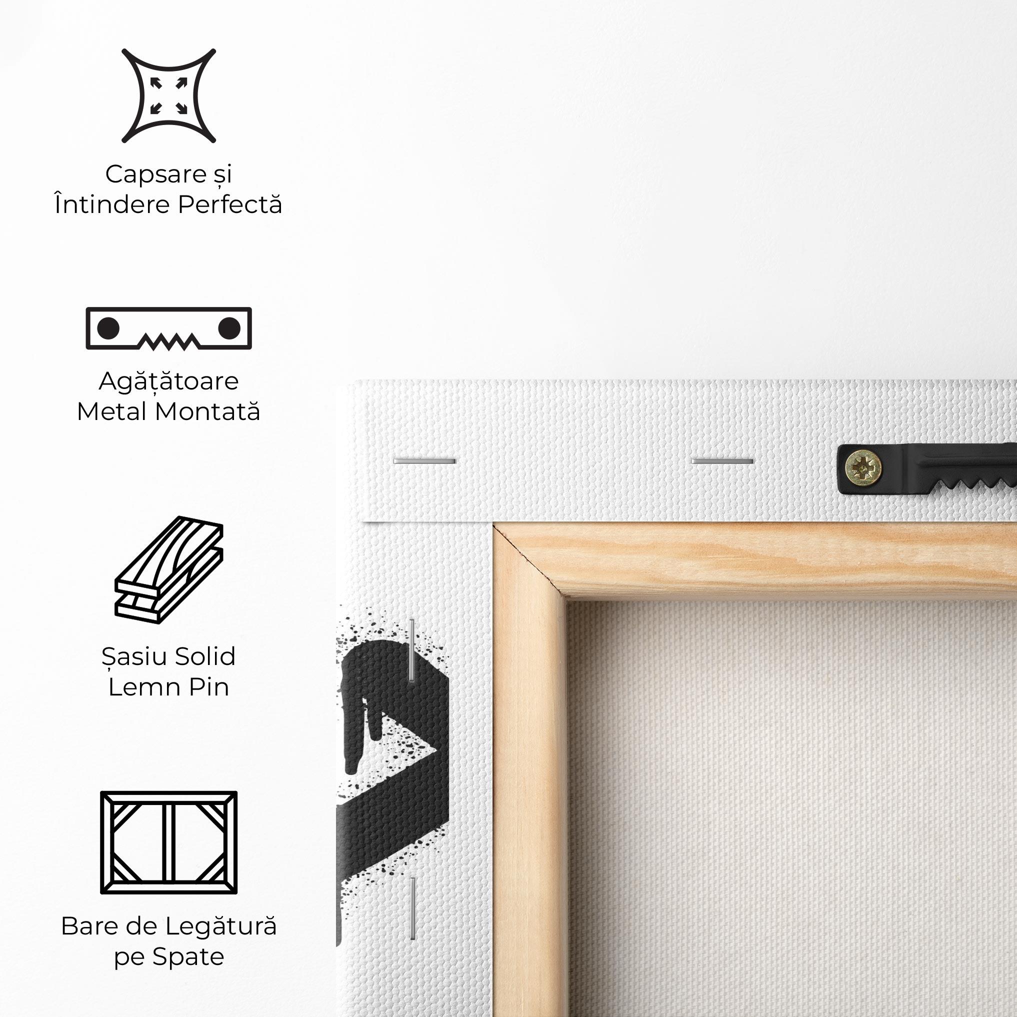 Tablou Canvas Grafiti X Spray mockup 5