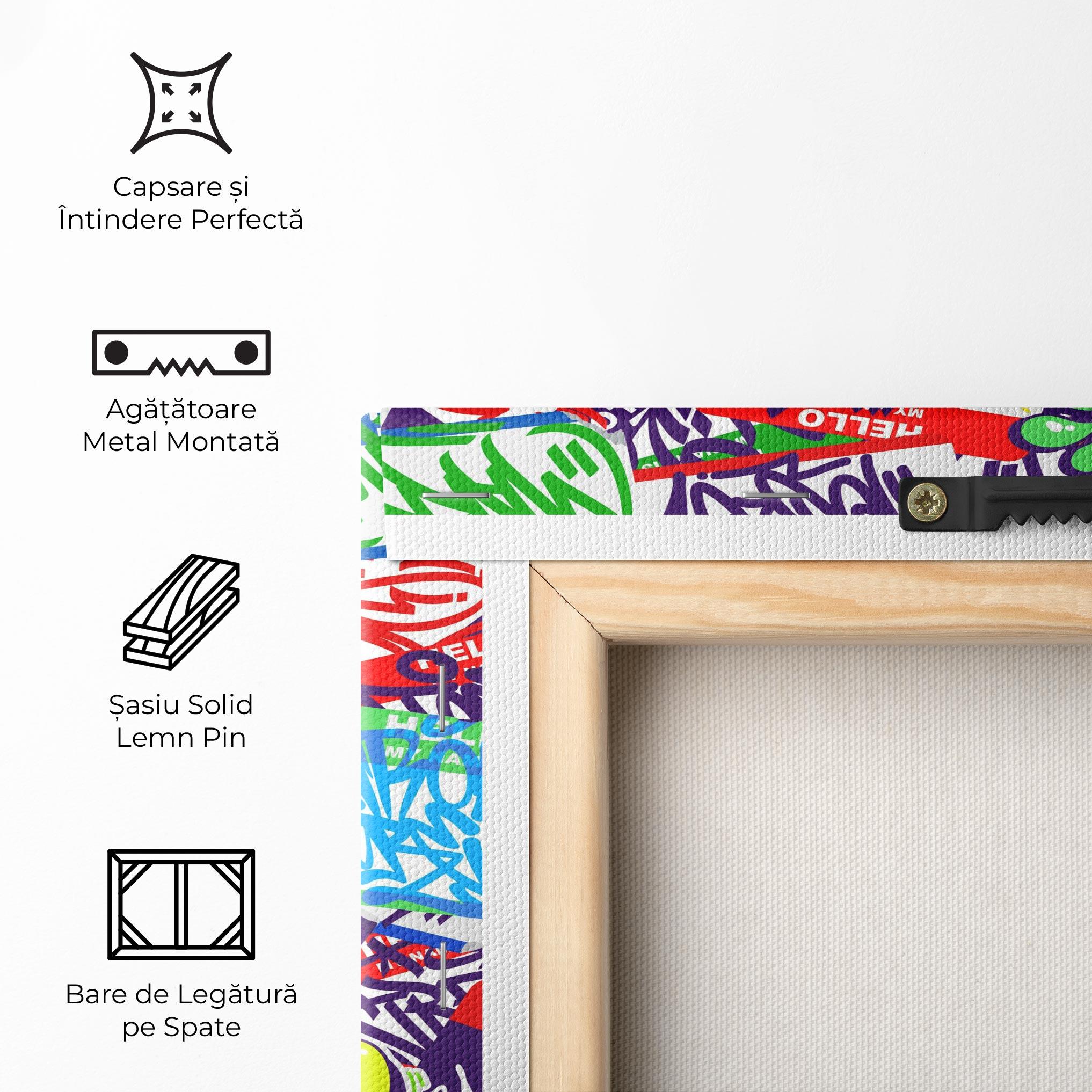 Tablou Canvas Hello Graffiti Name mockup 5