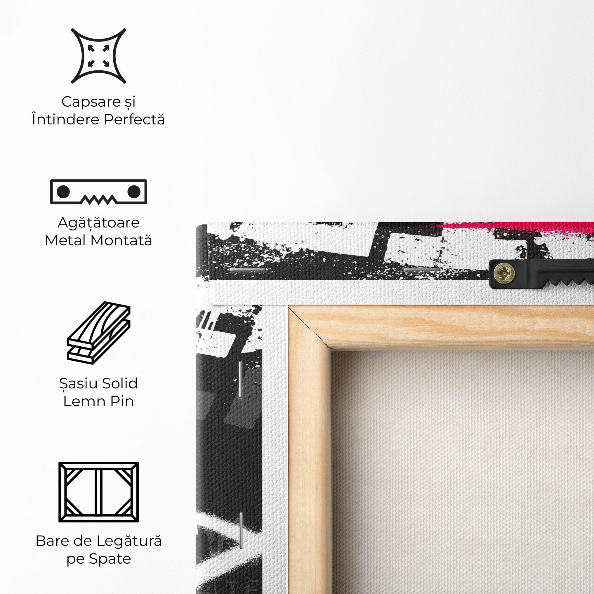 Tablou Canvas Skater Spray mockup 5