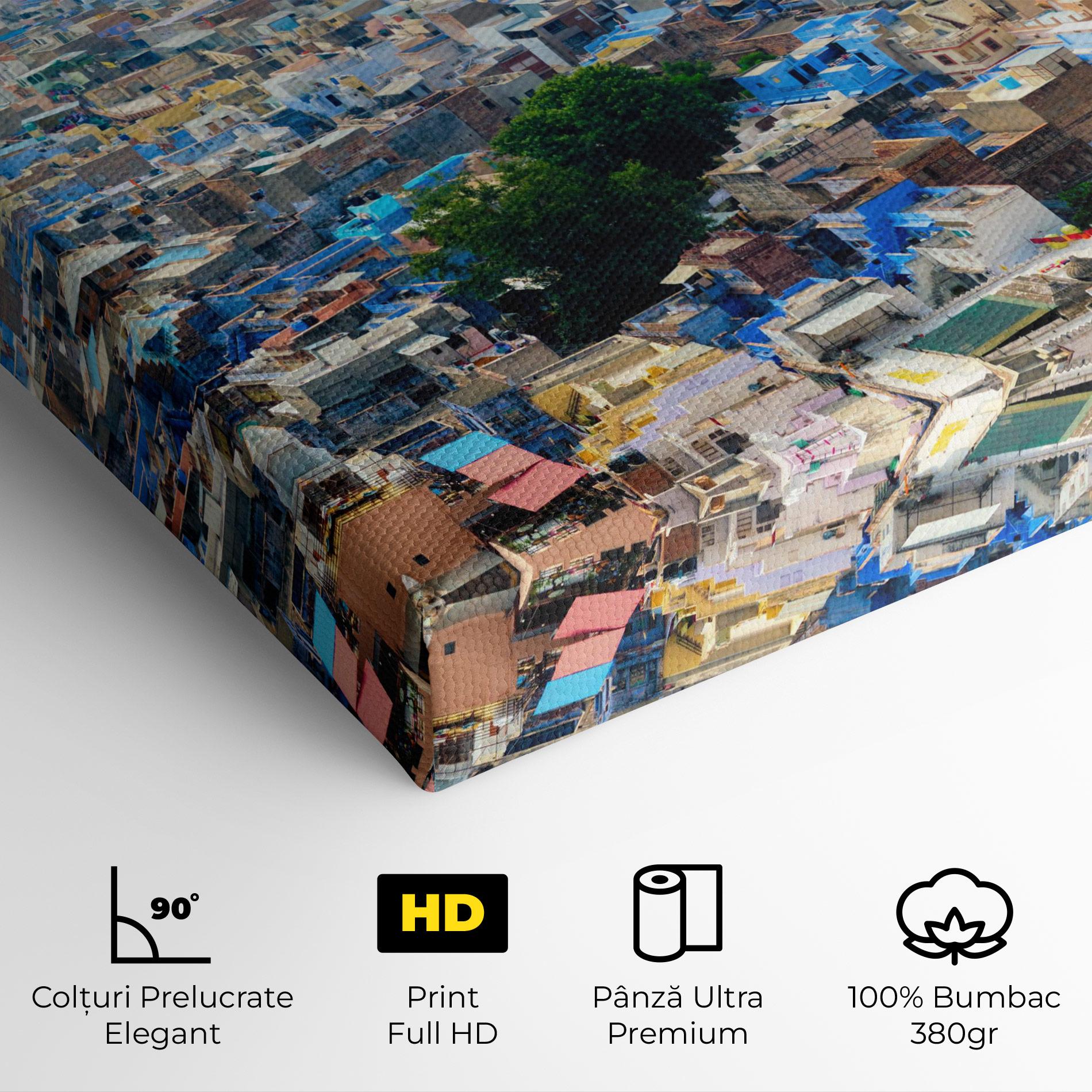 Tablou Canvas Rajasthan India Buildings mockup 4