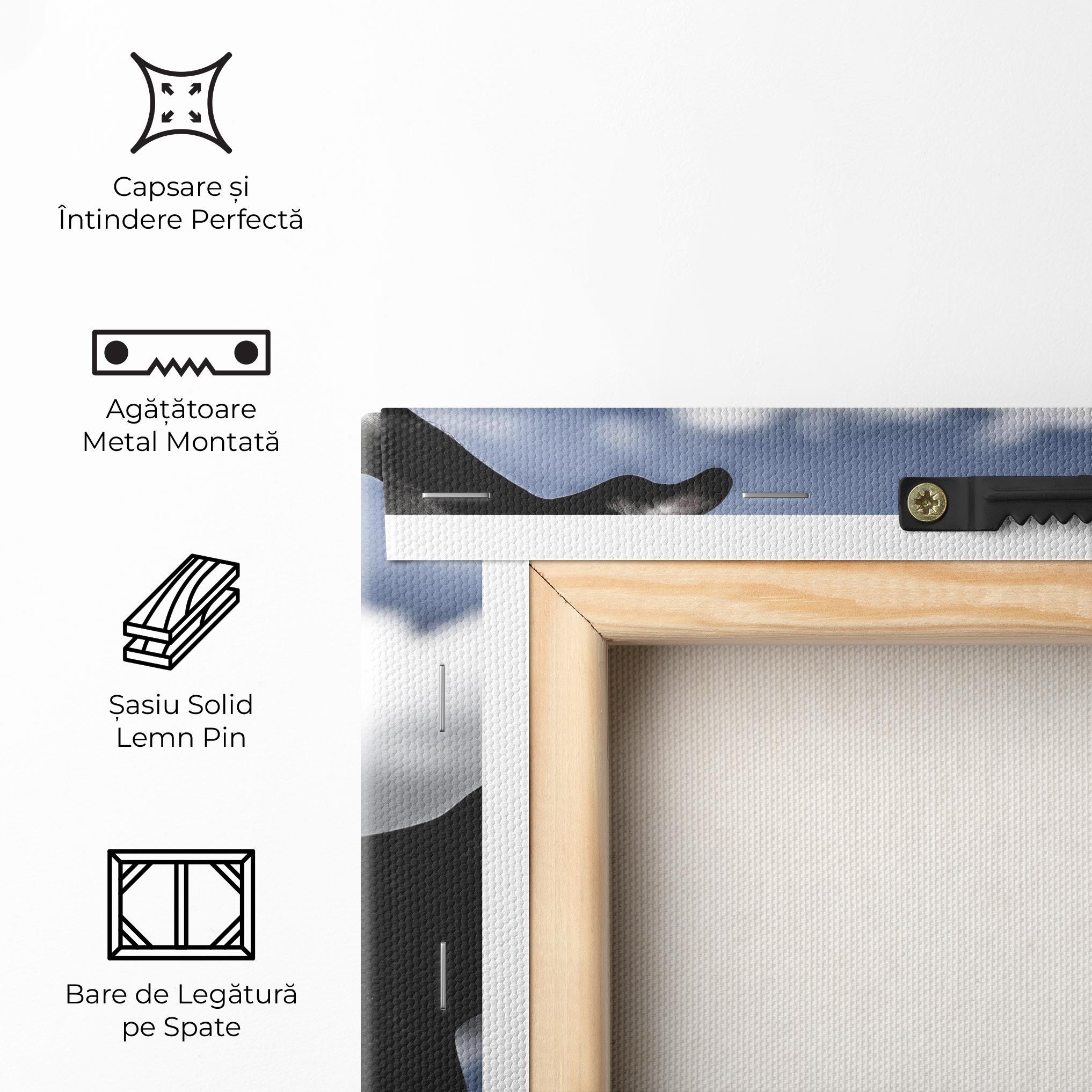 Tablou Canvas African Blue Sky mockup 5