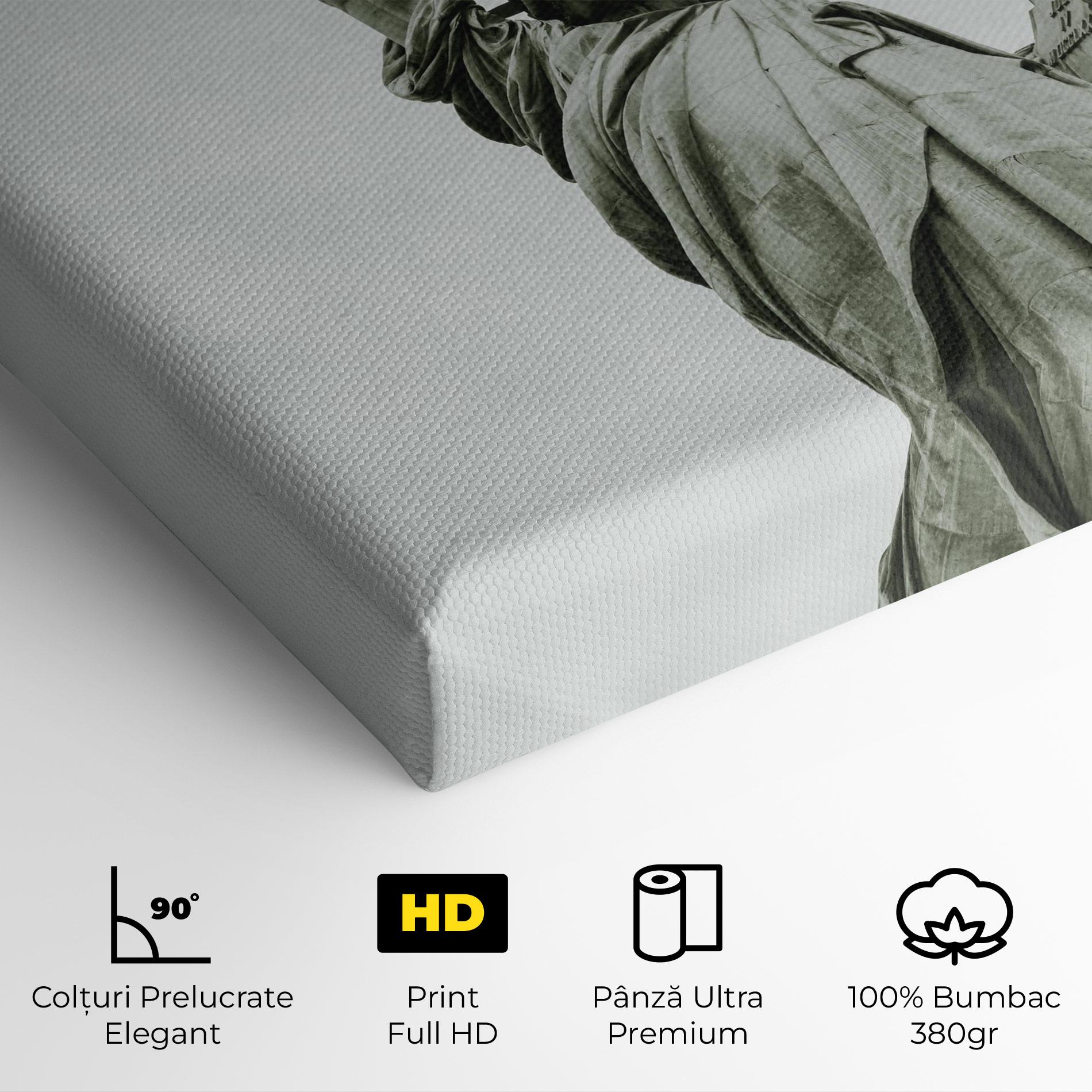 Tablou Canvas Liberty Statue Day mockup 4