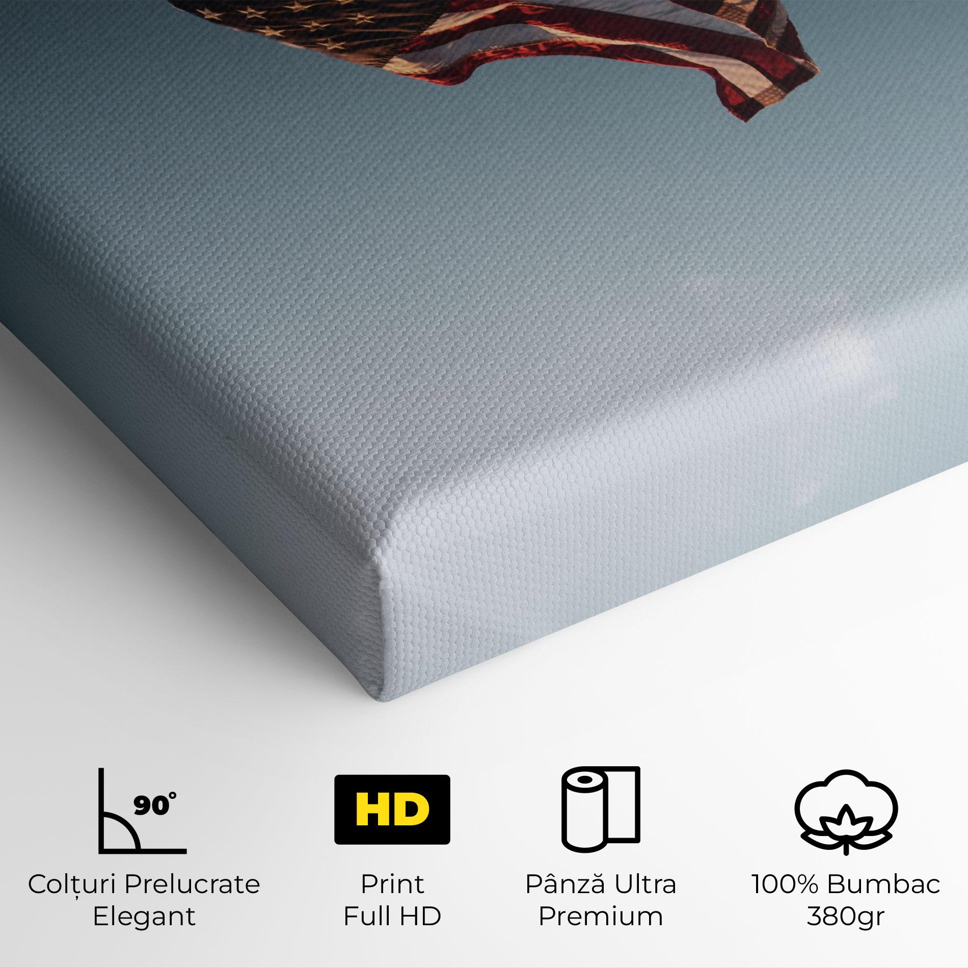 Tablou Canvas Usa Flag mockup 4