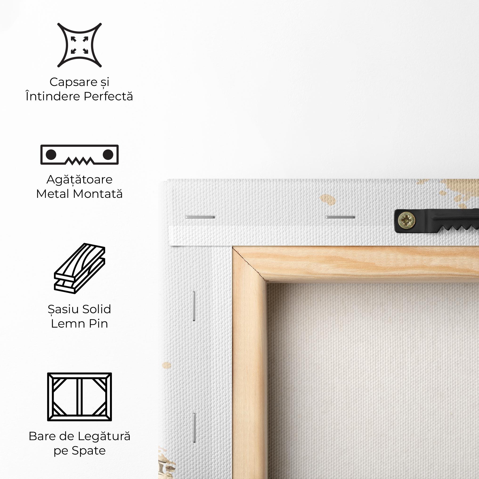 Tablou Canvas American Flag Art mockup 5