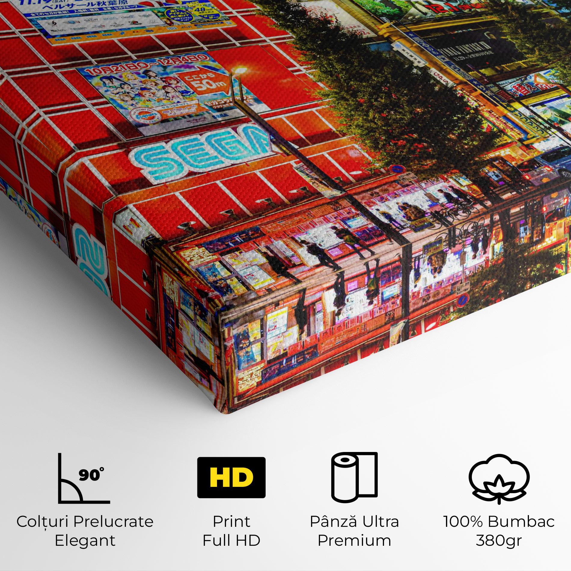Tablou Canvas Akihabara Night mockup 4