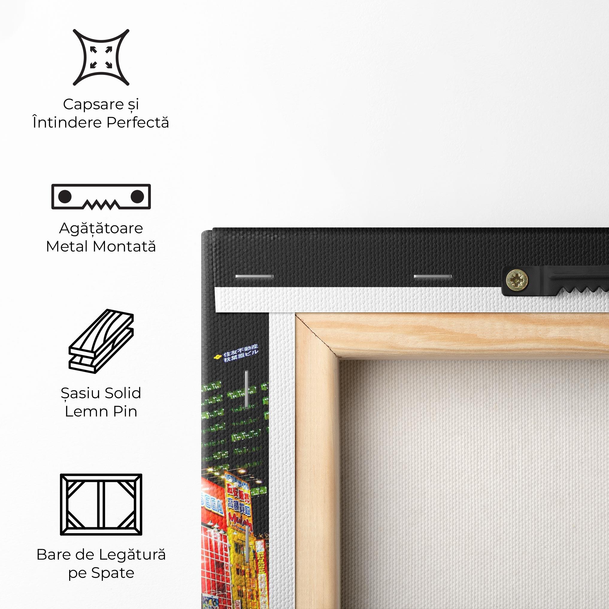 Tablou Canvas Akihabara Night mockup 5