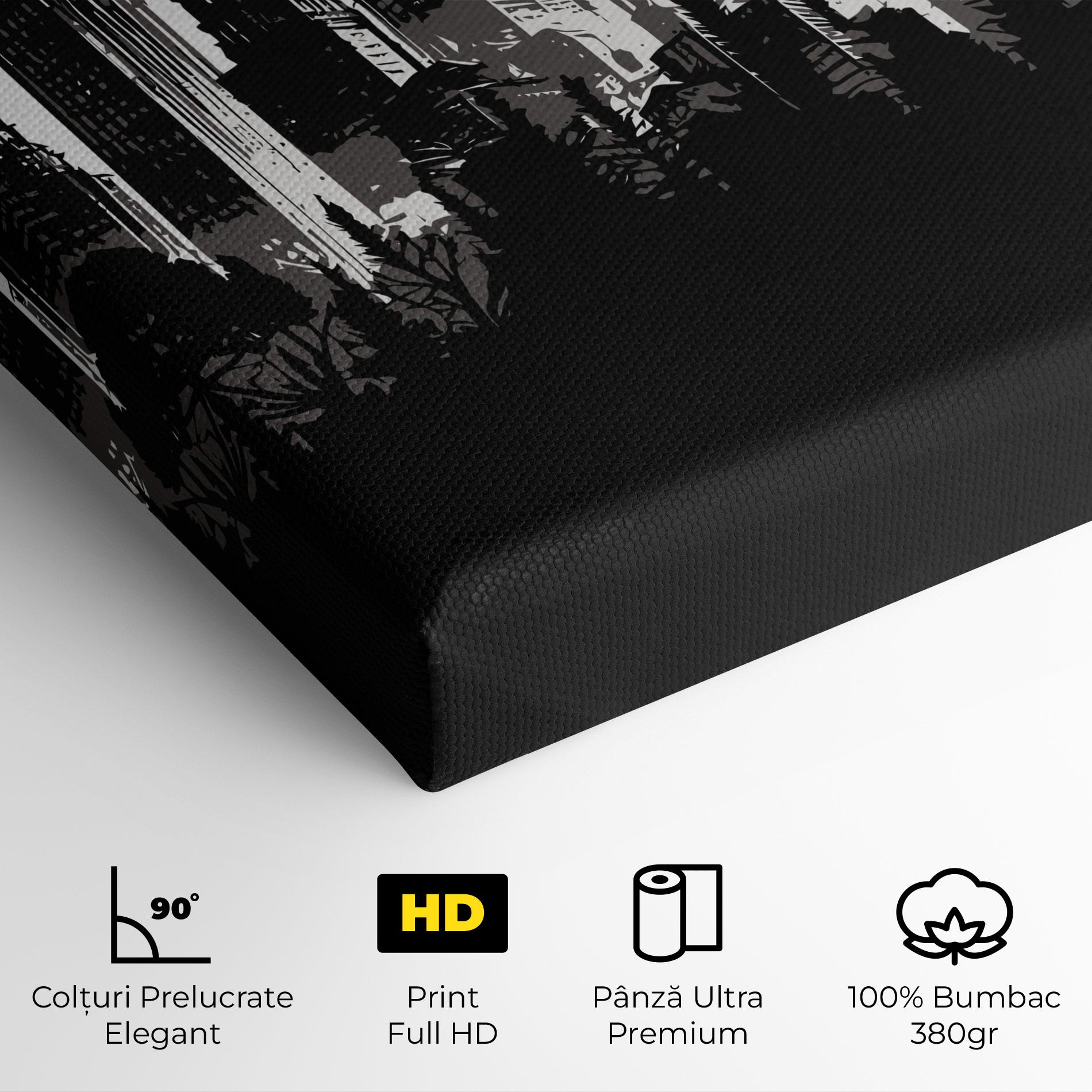 Tablou Canvas Australia Moon mockup 4