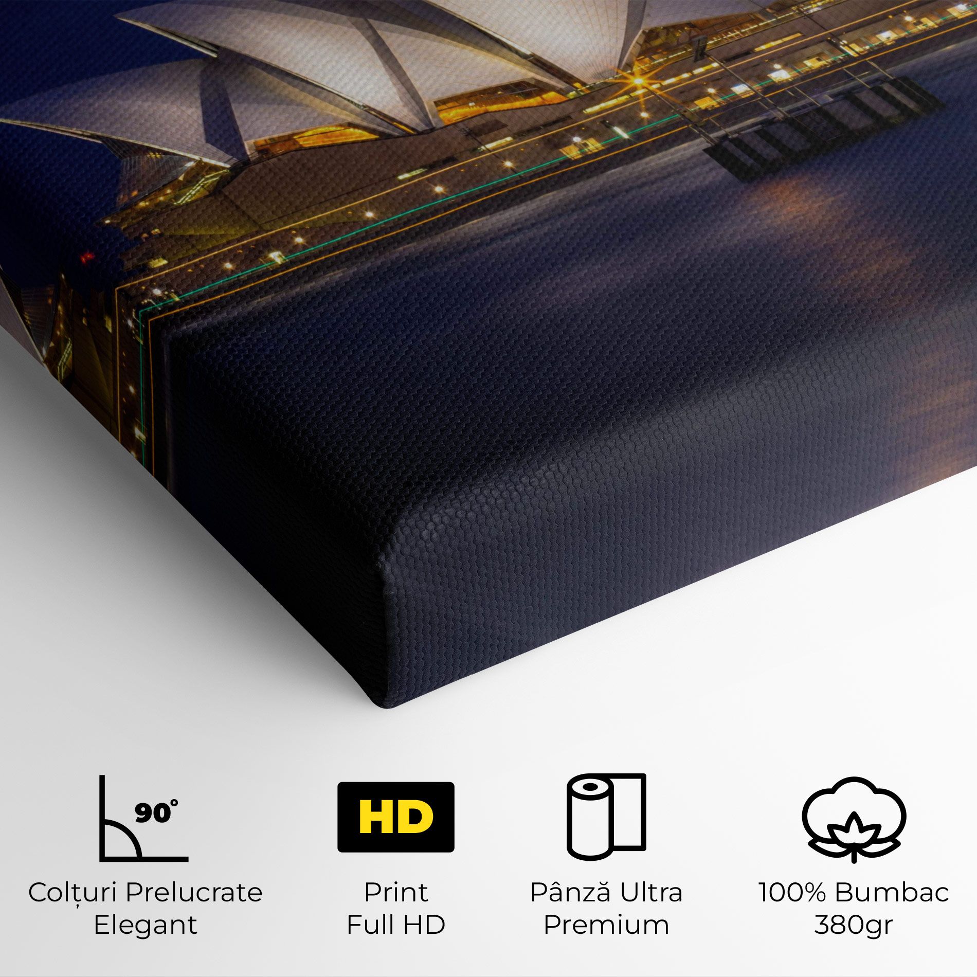 Opera House View mockup 4