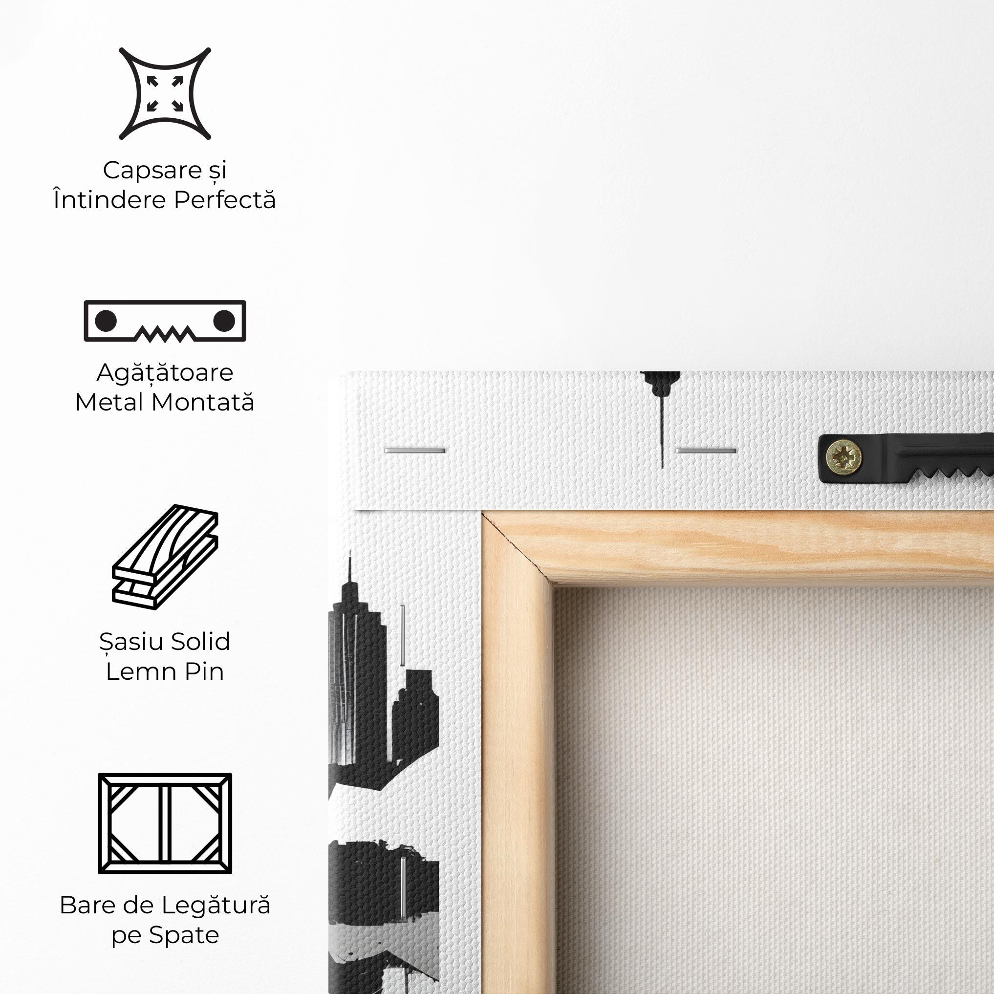 Tablou Canvas Opera House Art mockup 5