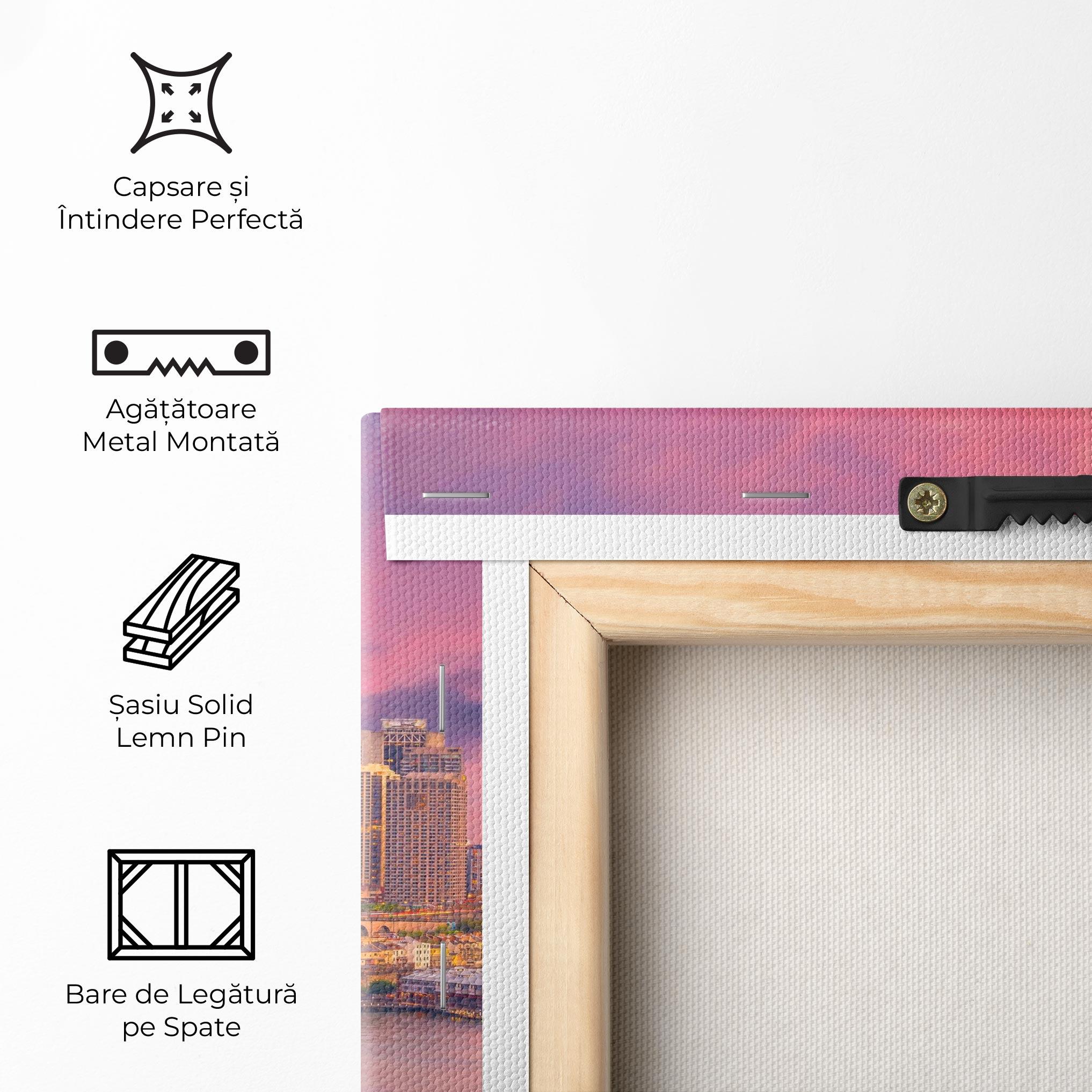 Tablou Canvas Pink Sydney Skyline mockup 5