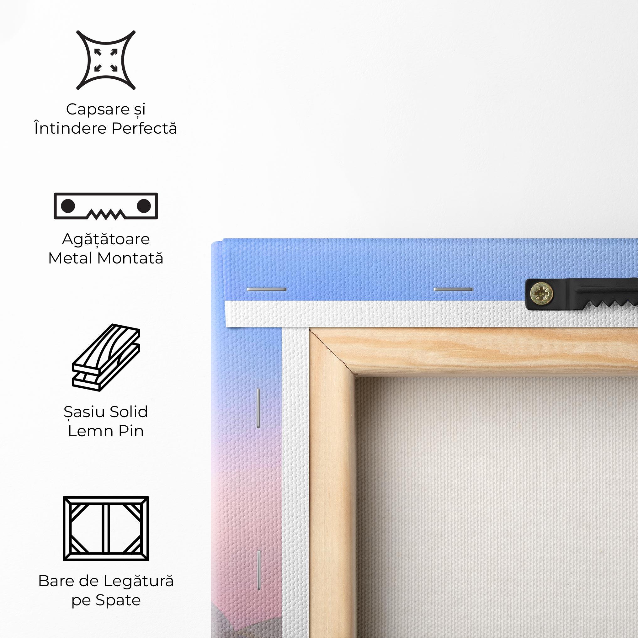 Tablou Canvas Sydney Purple Sky mockup 5